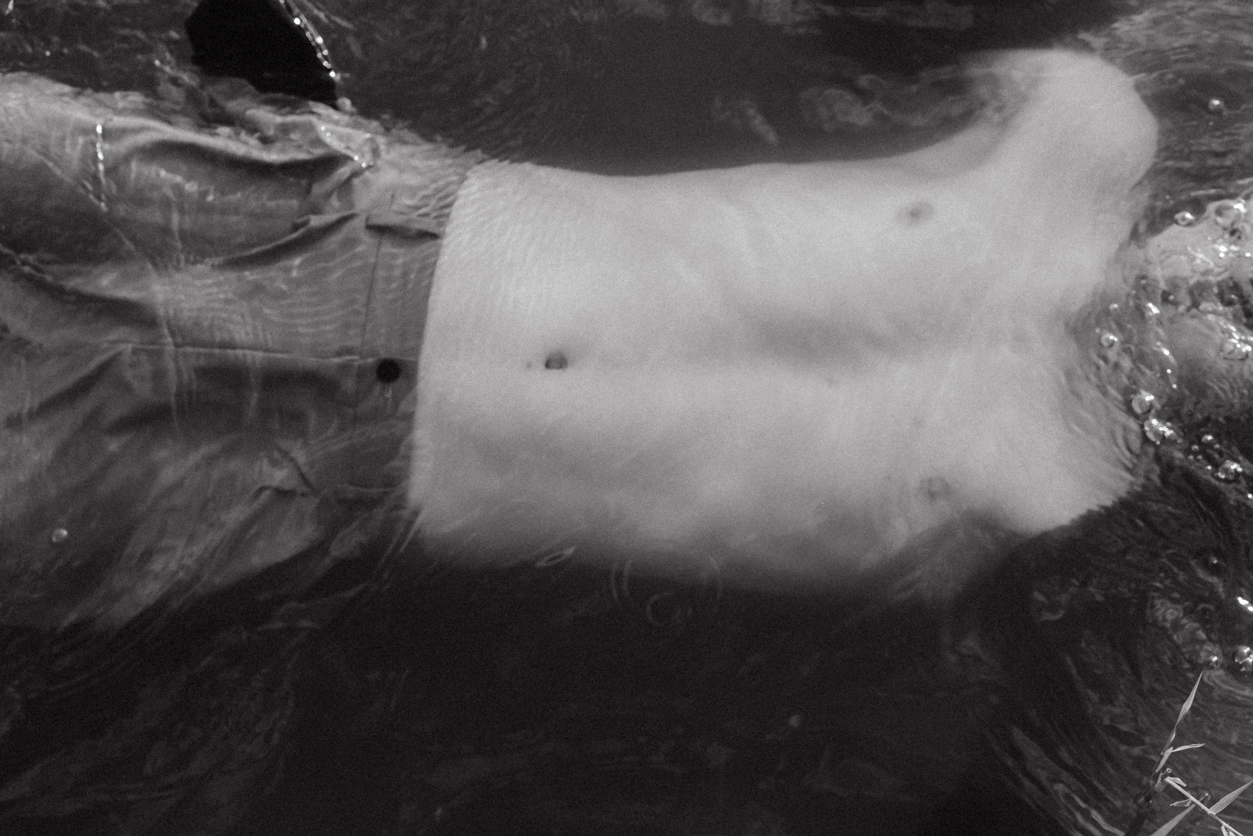 Studio. Wish Films — Фото и видео для брендов и личных проектов | Фотограф и видеограф