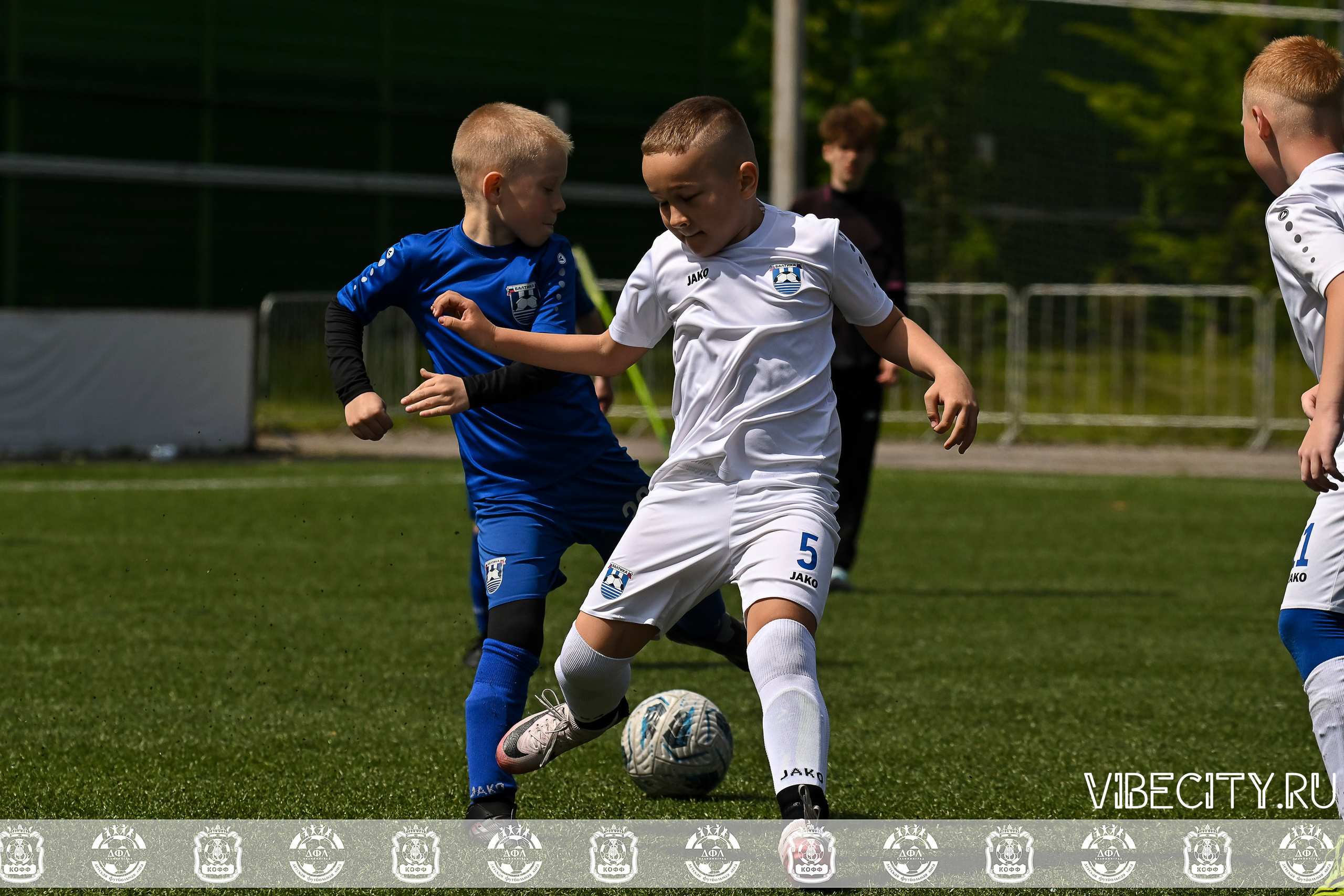 Большие Звезды светят Малым. VIBECITY.RU Вайб Сити Ру Фоторепортажи Фотоотчеты Калининград