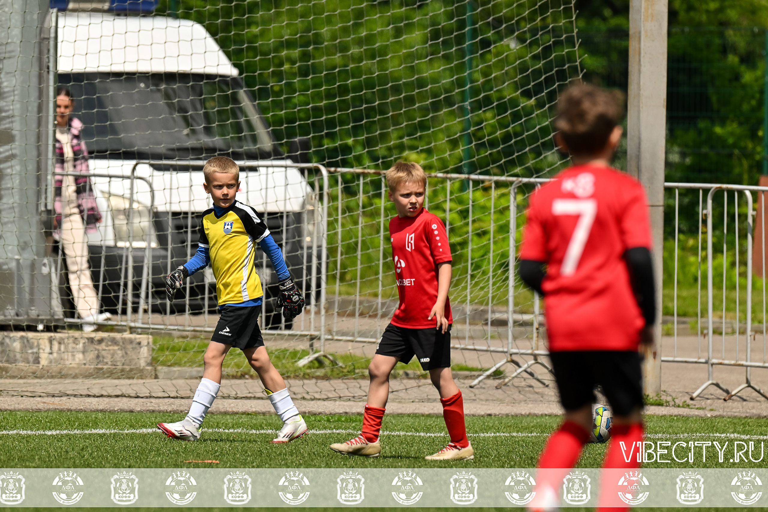 Большие Звезды светят Малым. VIBECITY.RU Вайб Сити Ру Фоторепортажи Фотоотчеты Калининград