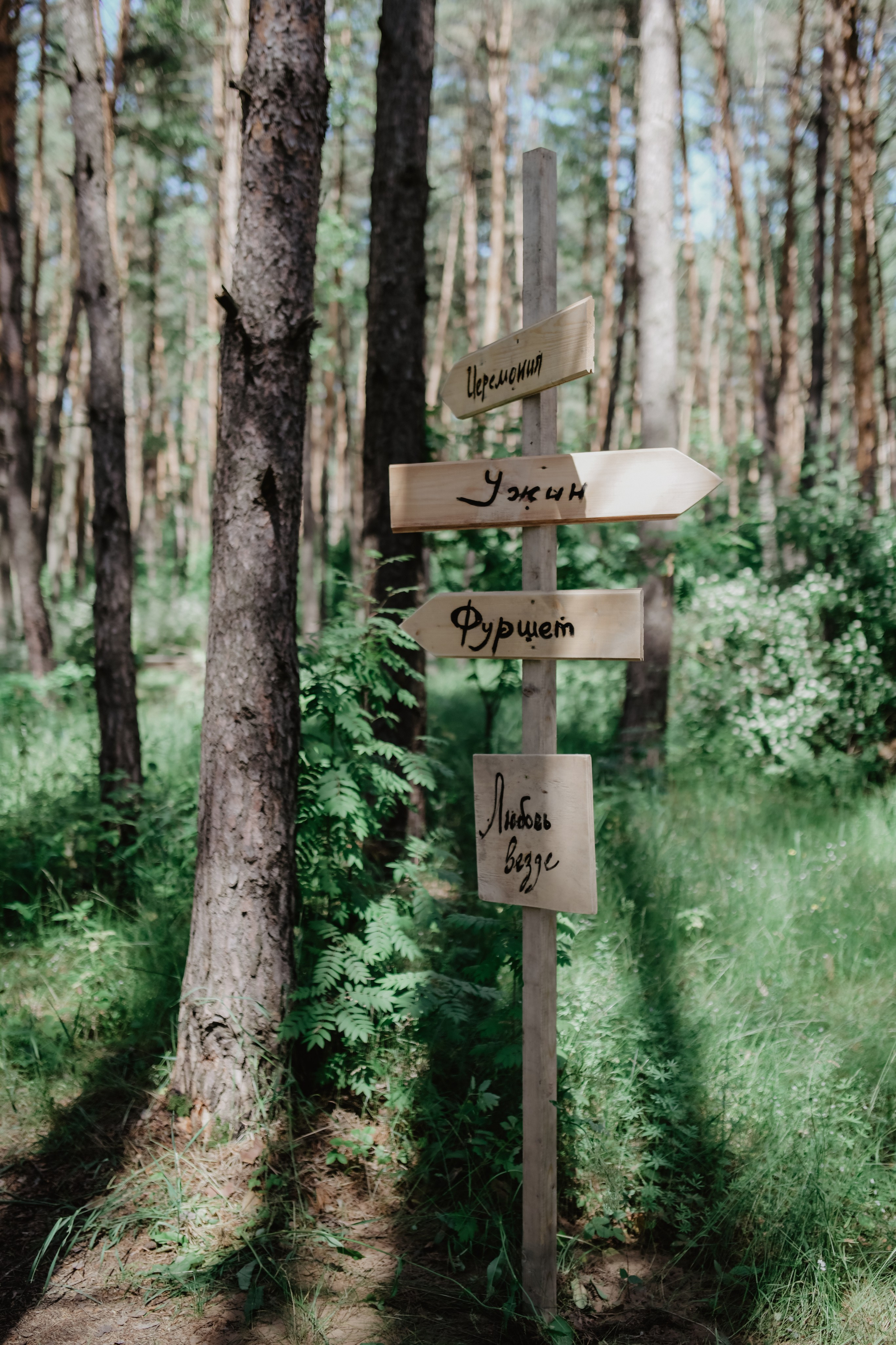 Лера & Вася. Оформление свадеб, декор свадеб Вера Маркова, Москва