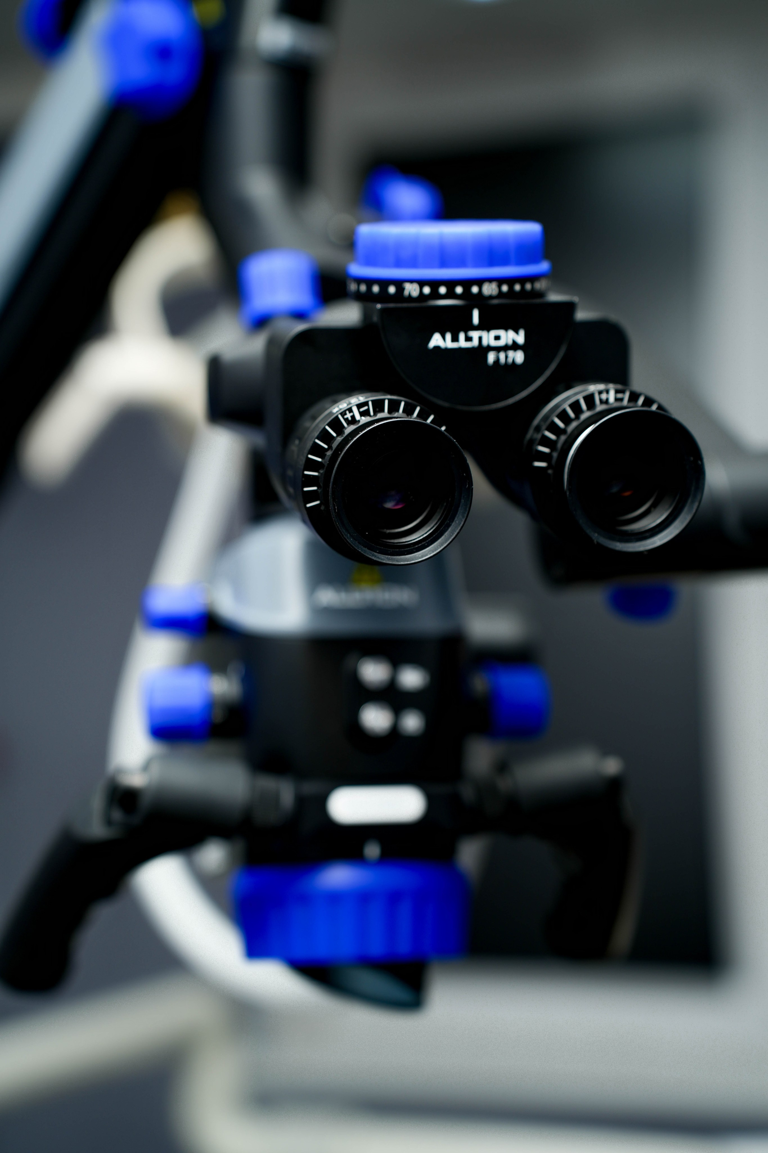 Vivastom. Фотограф Элина Задорожная