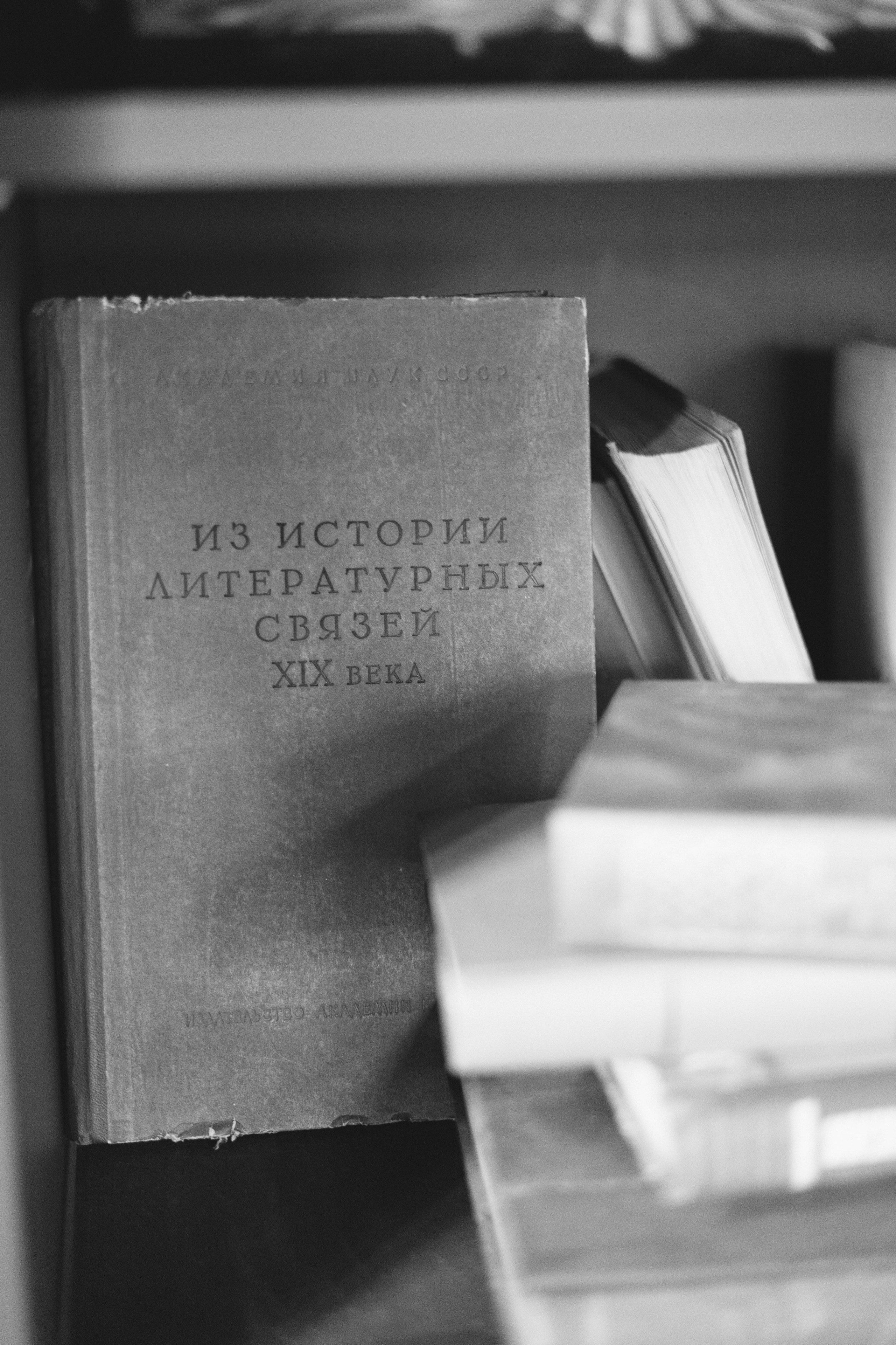 Библиотека. Семейный и детский фотограф в Москве Евгения Загайнова