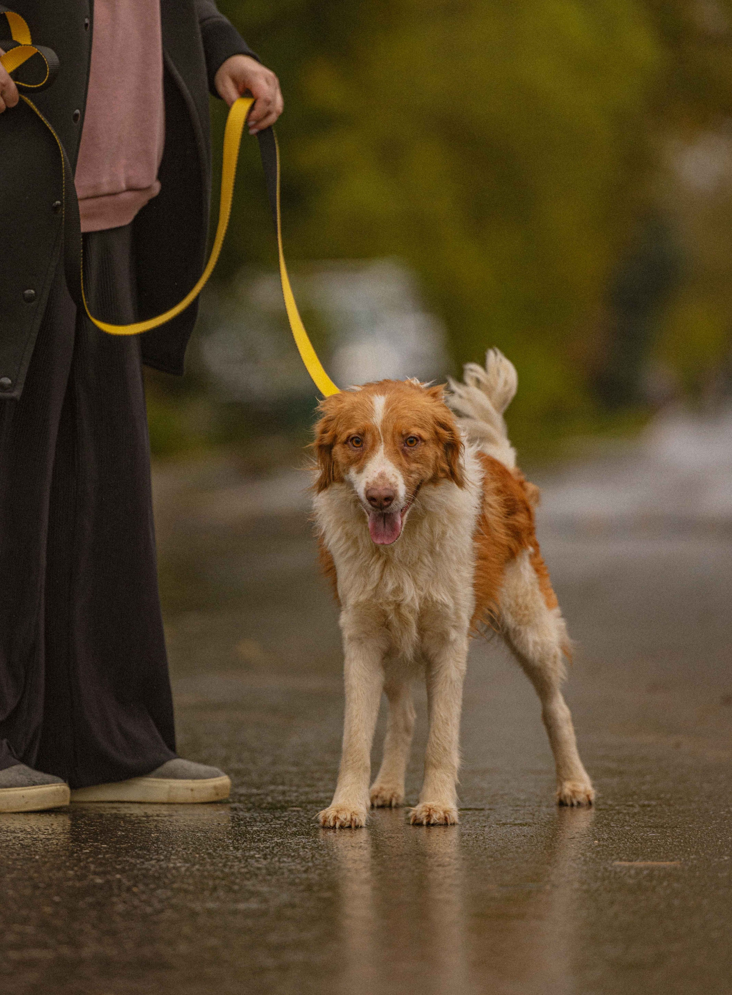 Передержка. Фотограф-анималист в Москве Лера Черноног