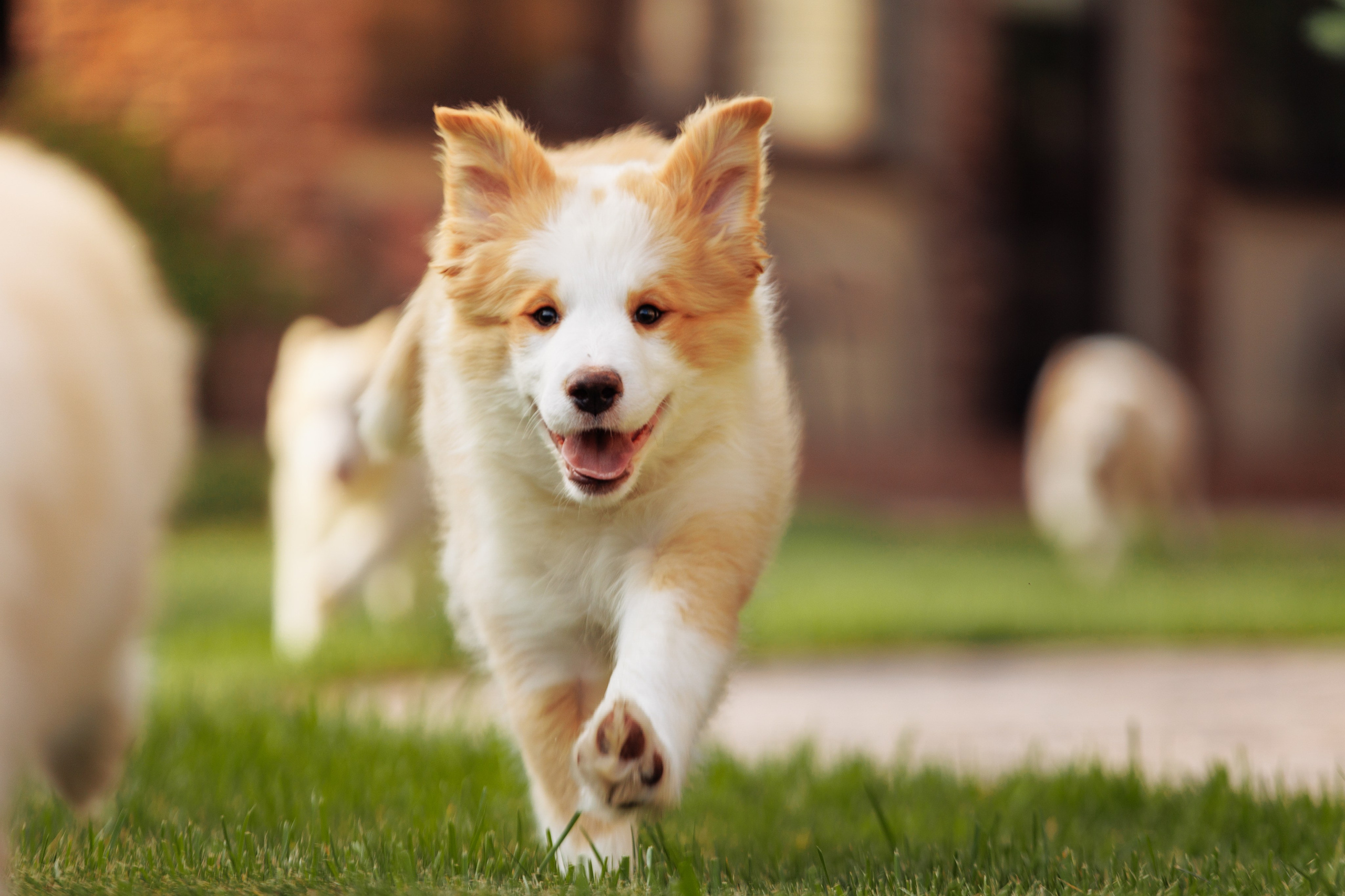 СОлнечные. О нас