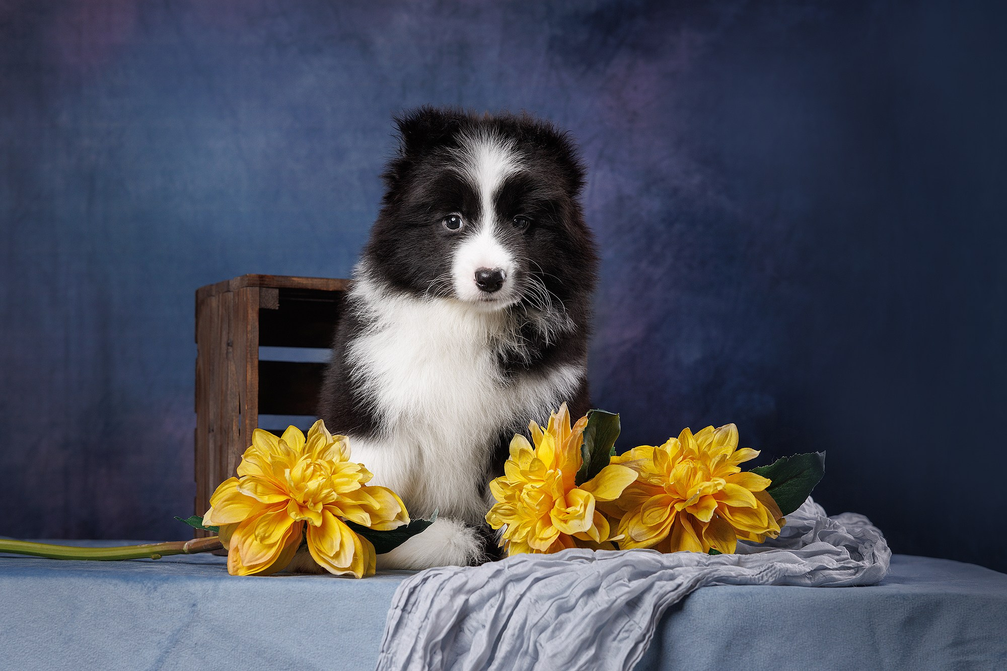 На водной основе. О нас