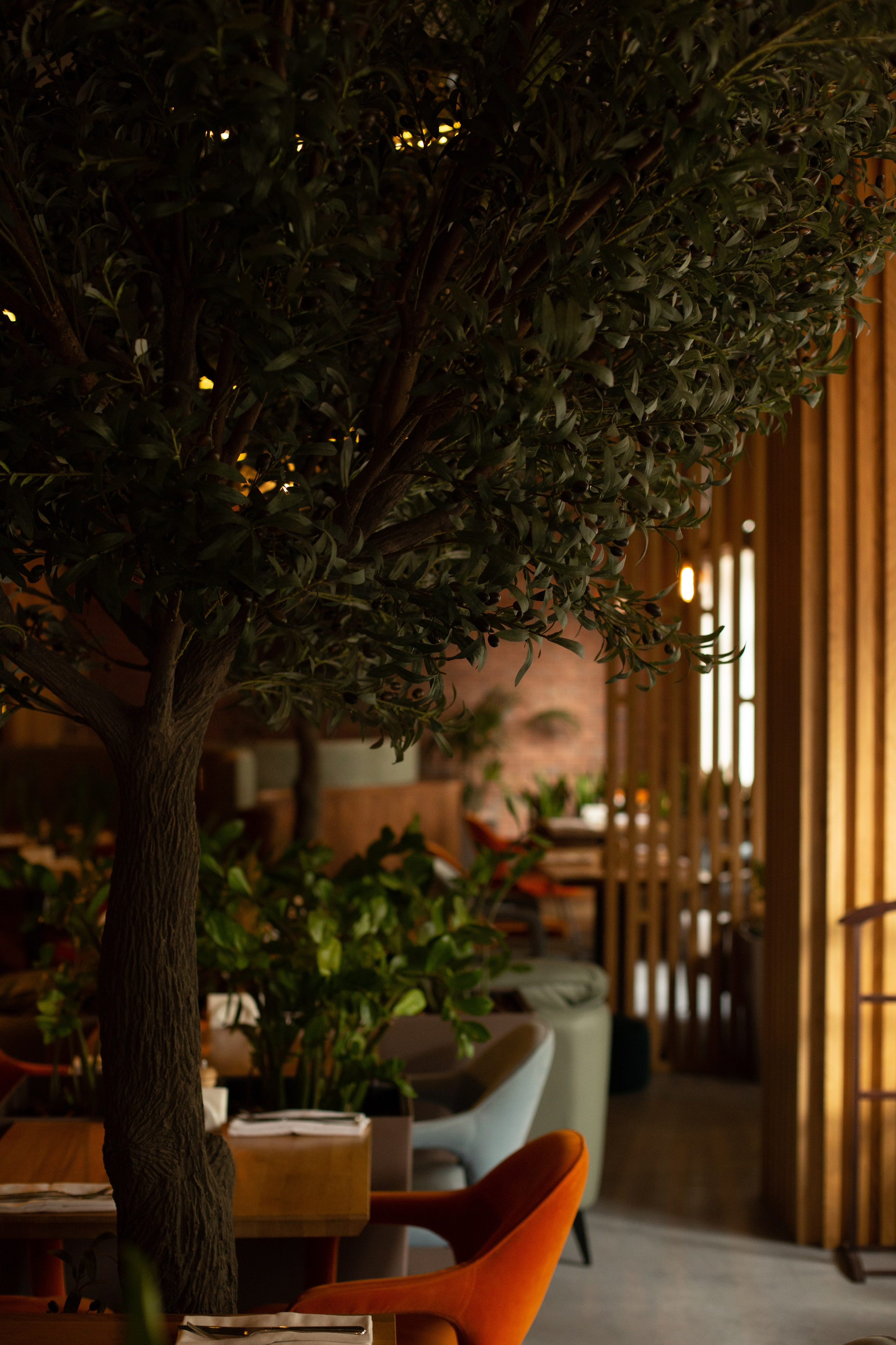 Интерьер. Фуд фотограф новосибирск