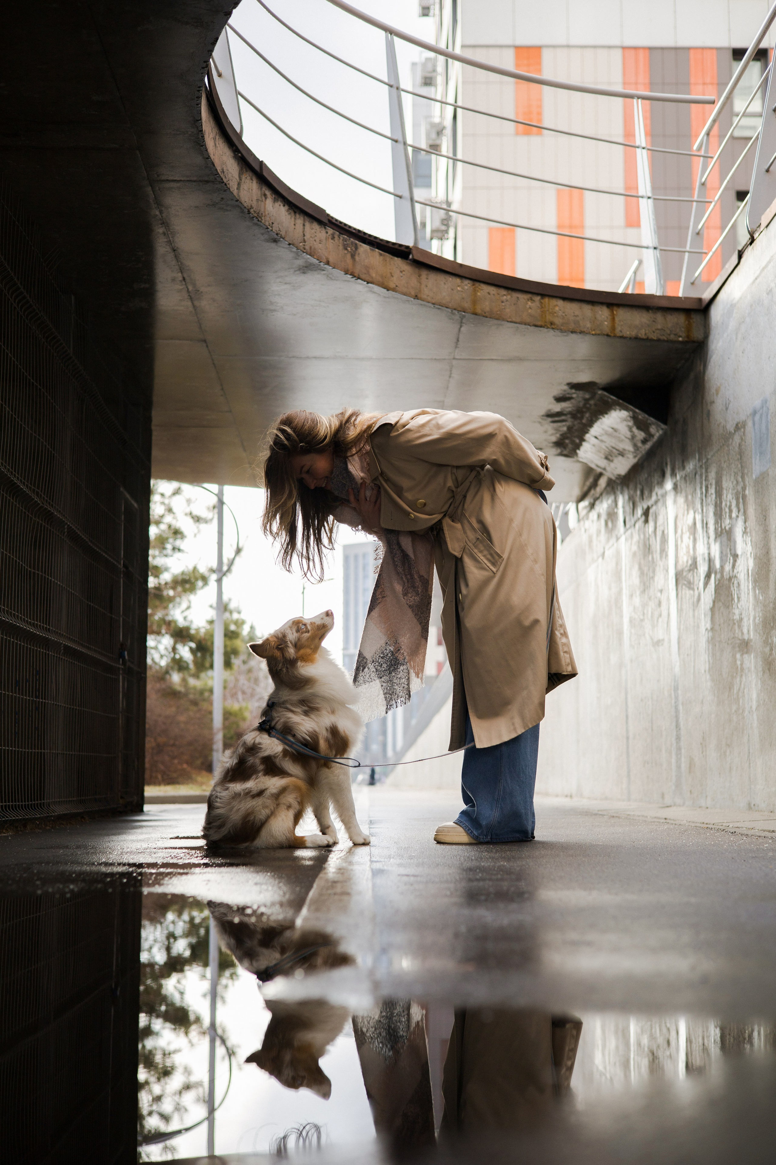 Бри и Яна. Фотограф-анималист Ксения Шевцова|Москва