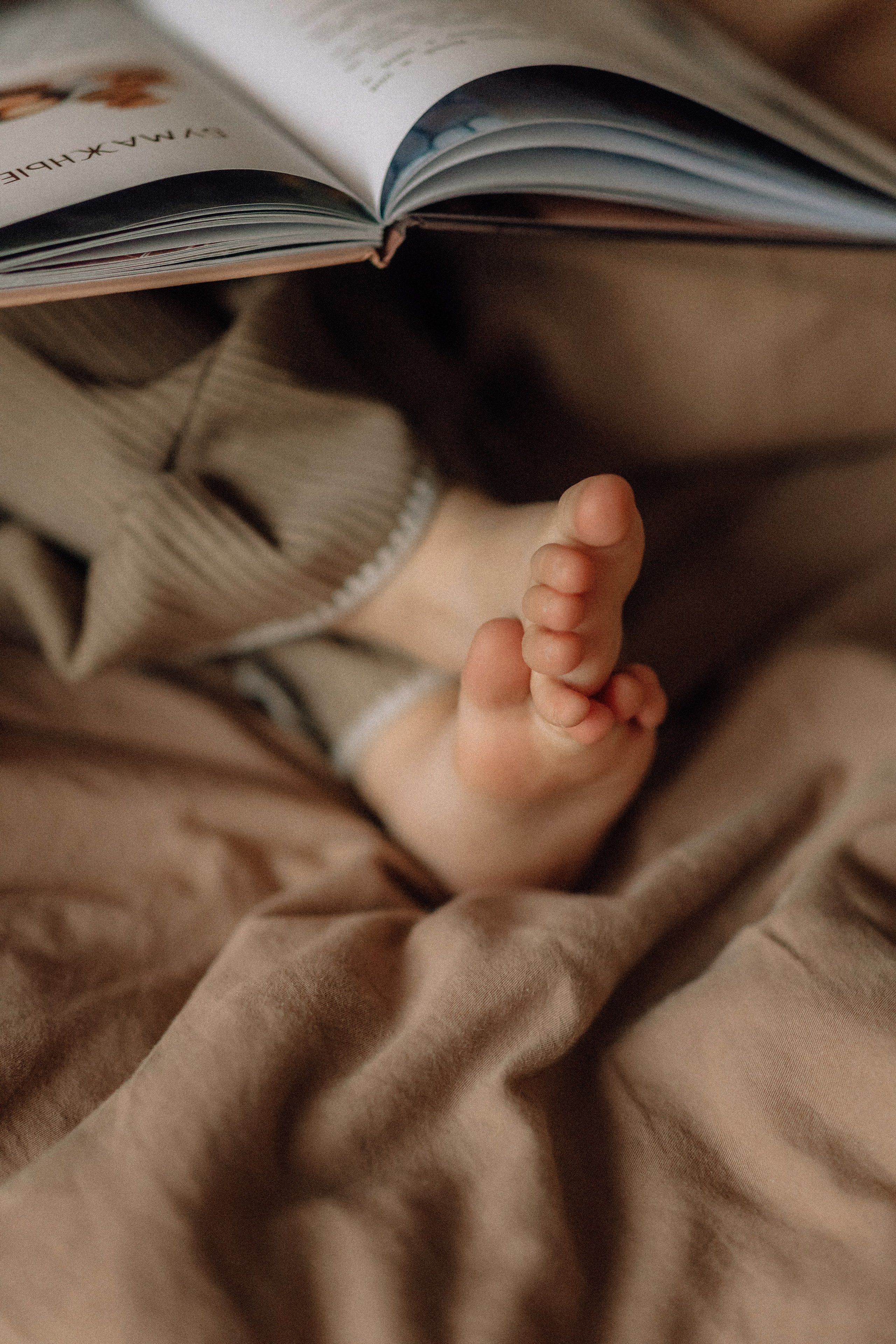 Яблочный пирог