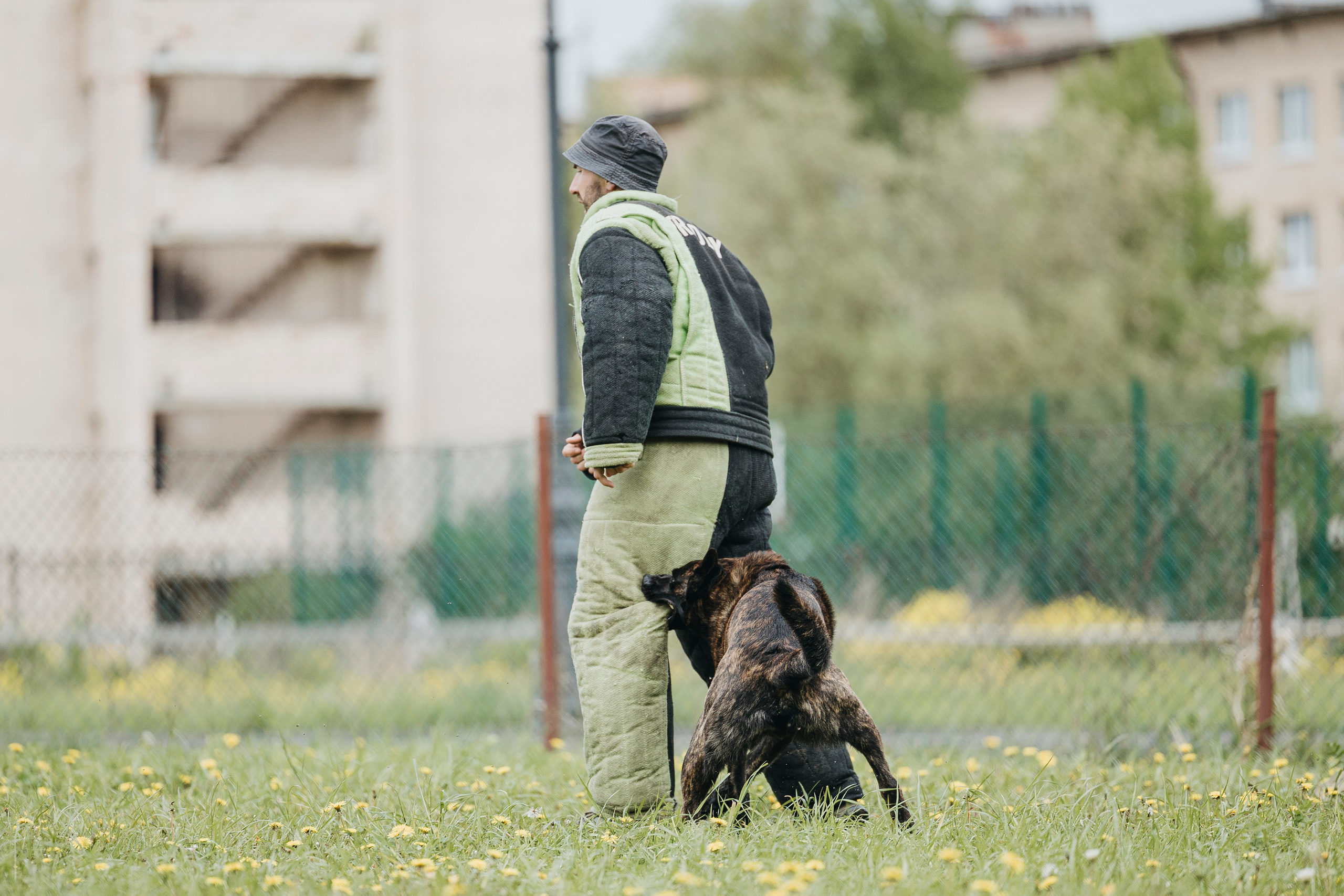 26.05.25 г. Пушкин квалификационные соревнования. Фотограф-анималист Анна Маринич