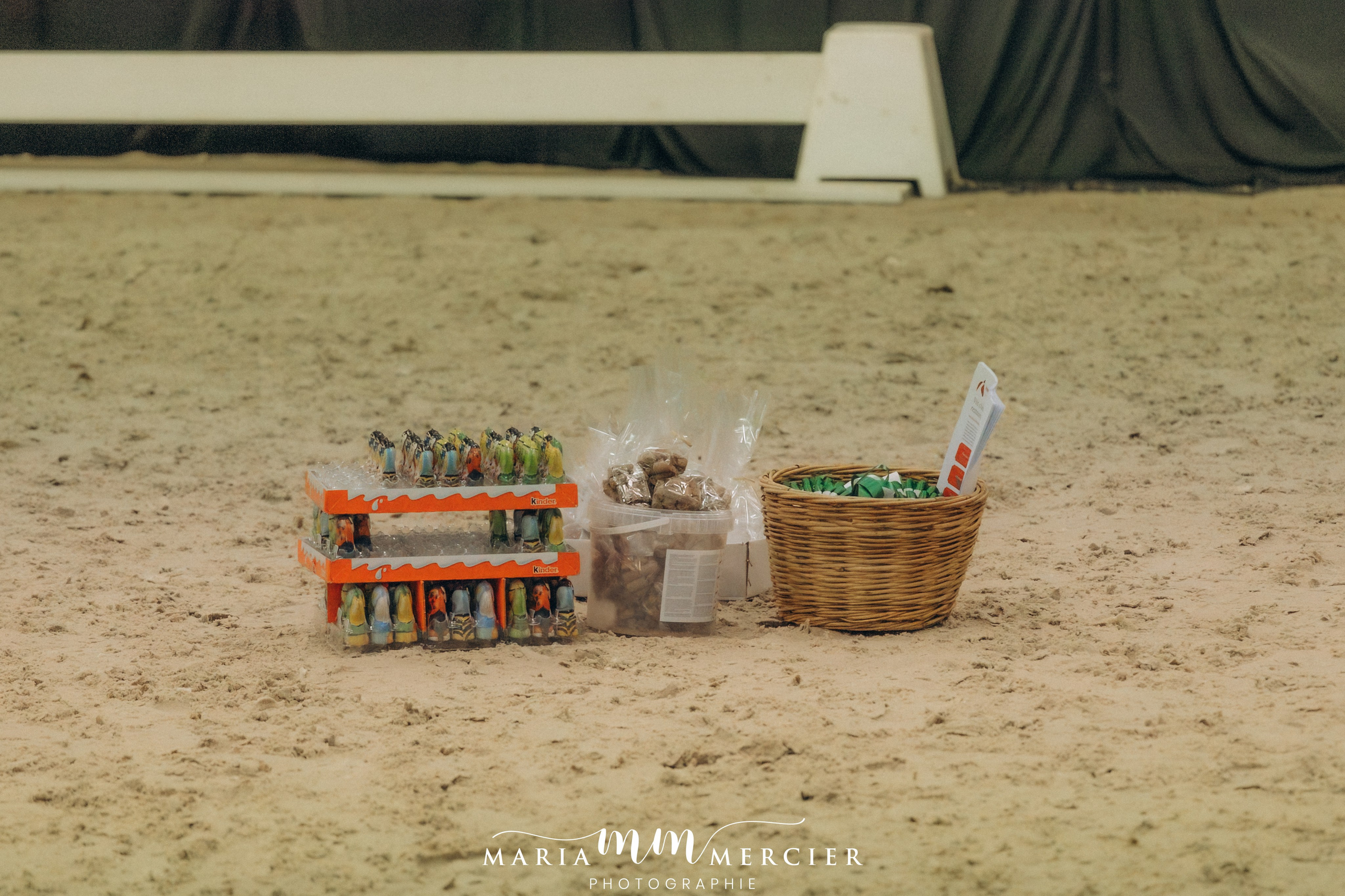 Evènements. Photographe des familles et enfants à Nantes et alentours