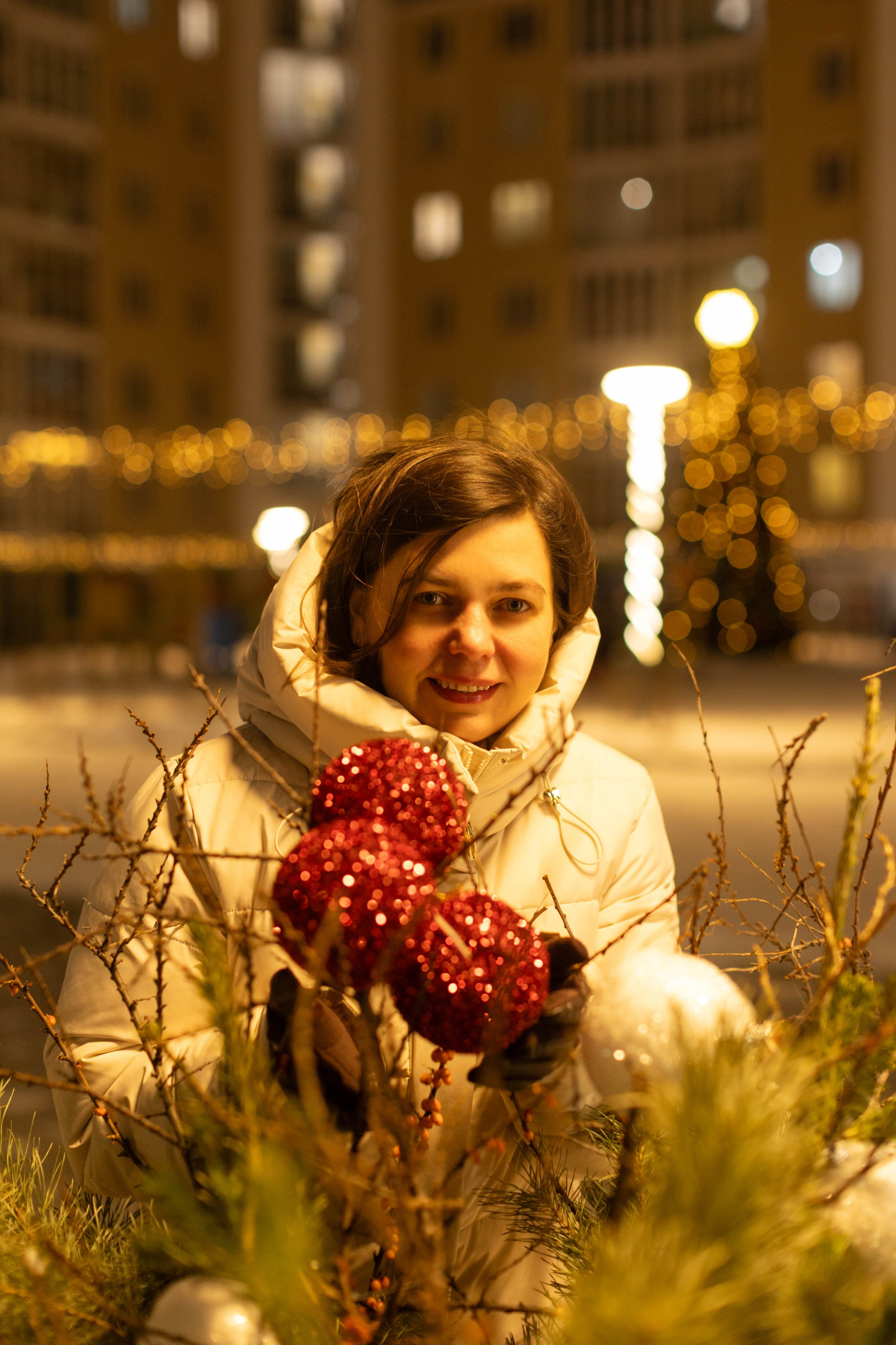 Новогодний вечер. Art my Pho