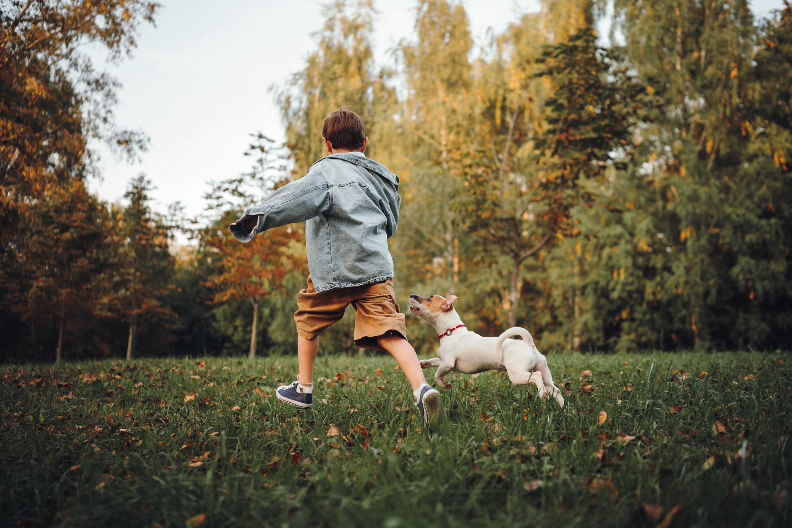 Алена, Илья, Даня и Данте. Семейный фотограф анималист Ананьева Мария — Москва