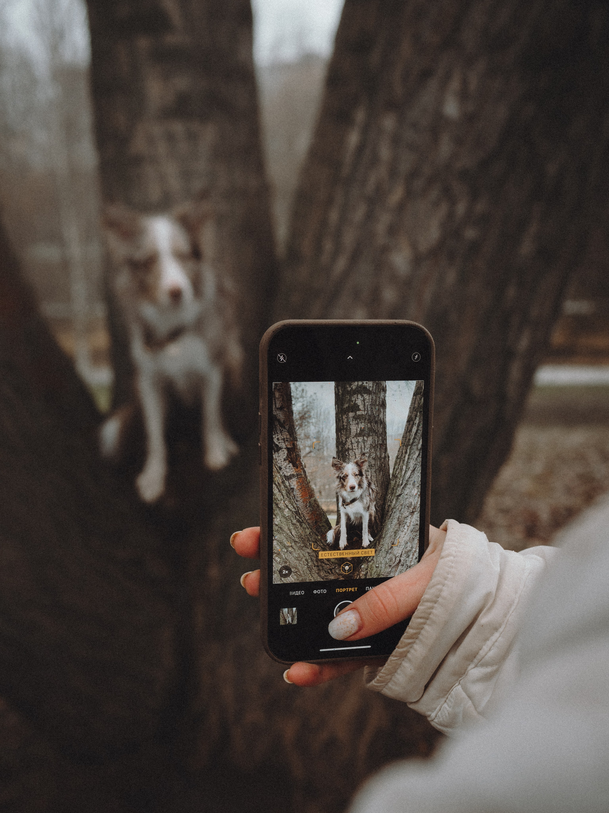 Аня и Дэймон. Семейный фотограф анималист Ананьева Мария — Москва