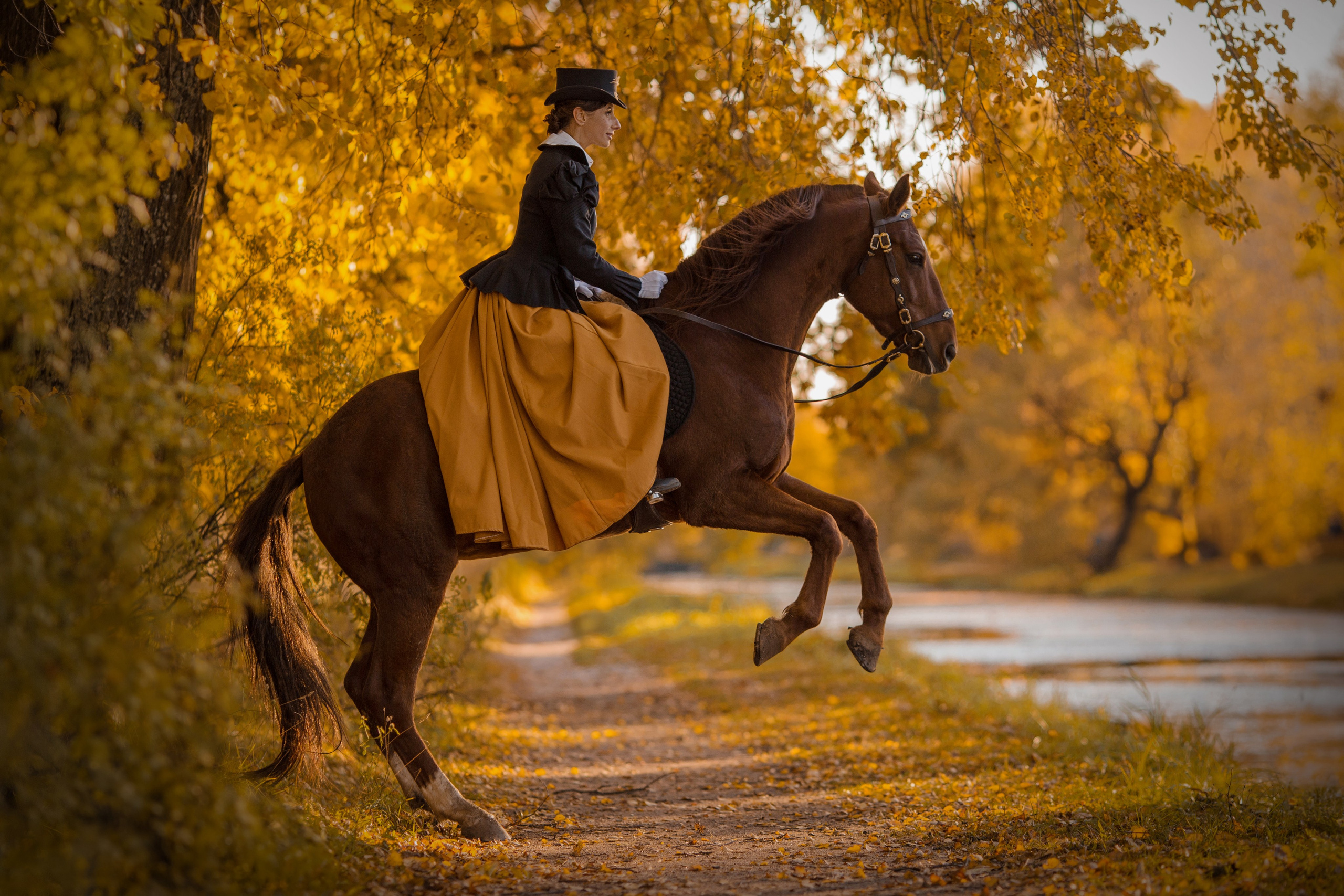 Фотосессия в историческом стиле с борзыми