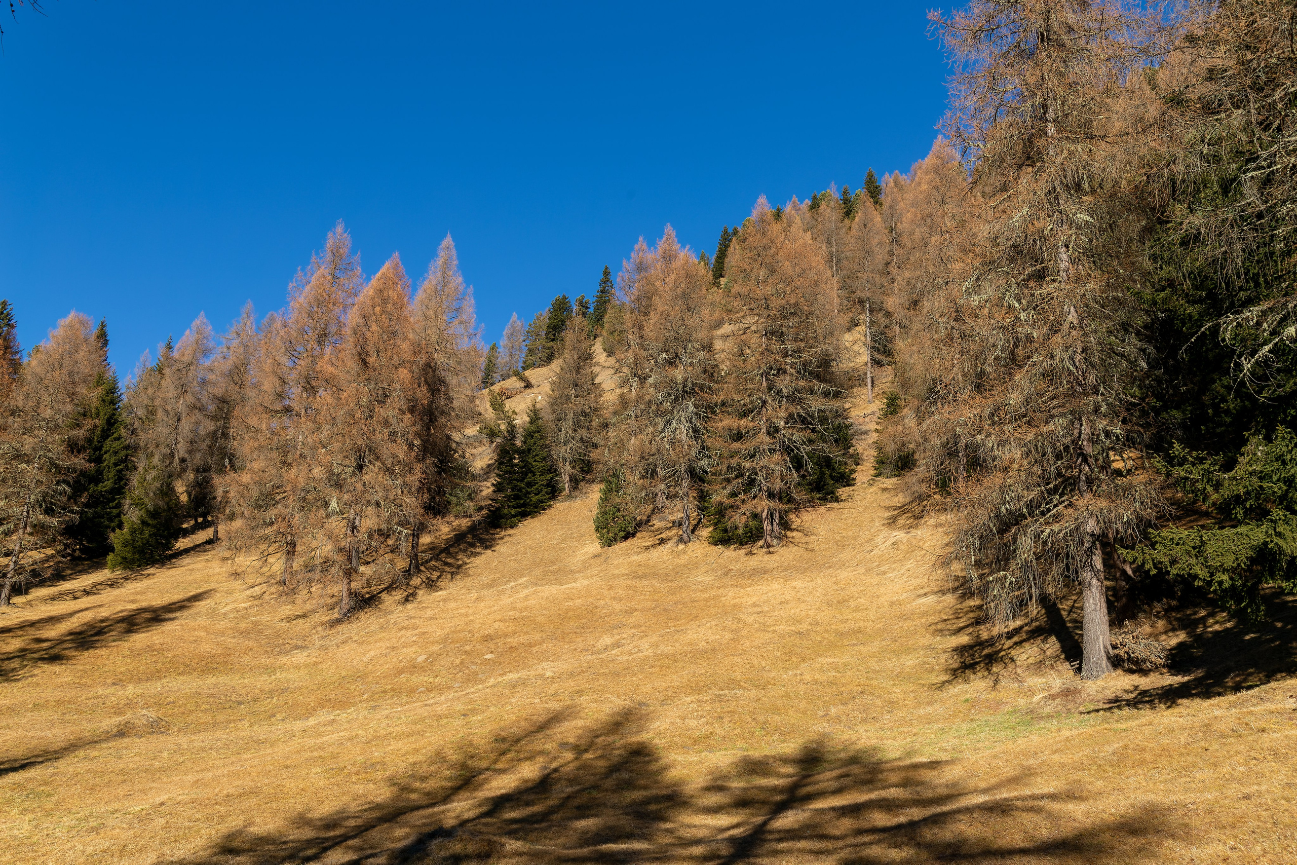 Фотосъёмка Альпы Италия, пейзажи и архитектура. «Студия DRONAVT`s» — видеосъёмка и фотография г. Москва