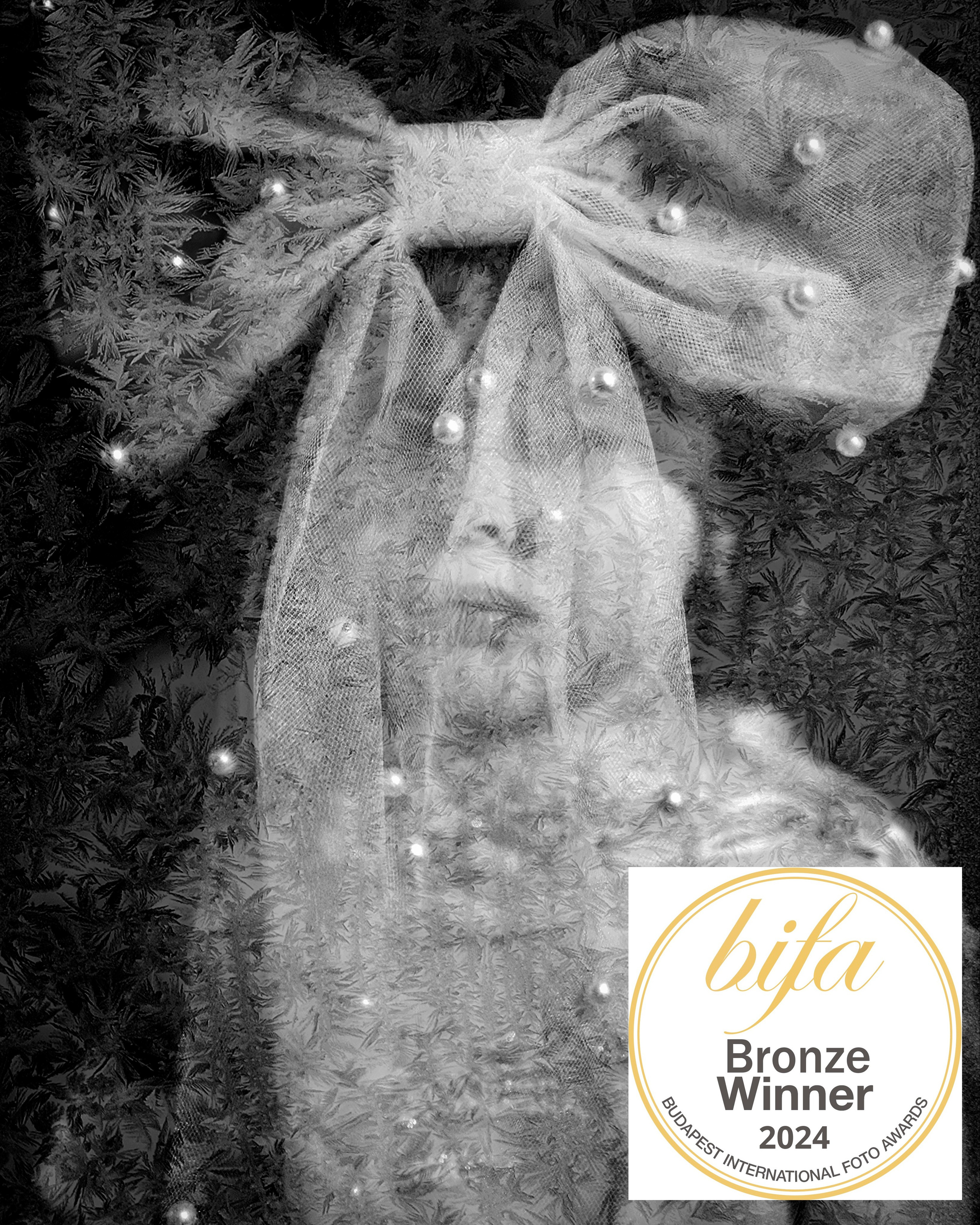 Победа в международном конкурсе BIFA-2024. Фотографии Лены Соколовой