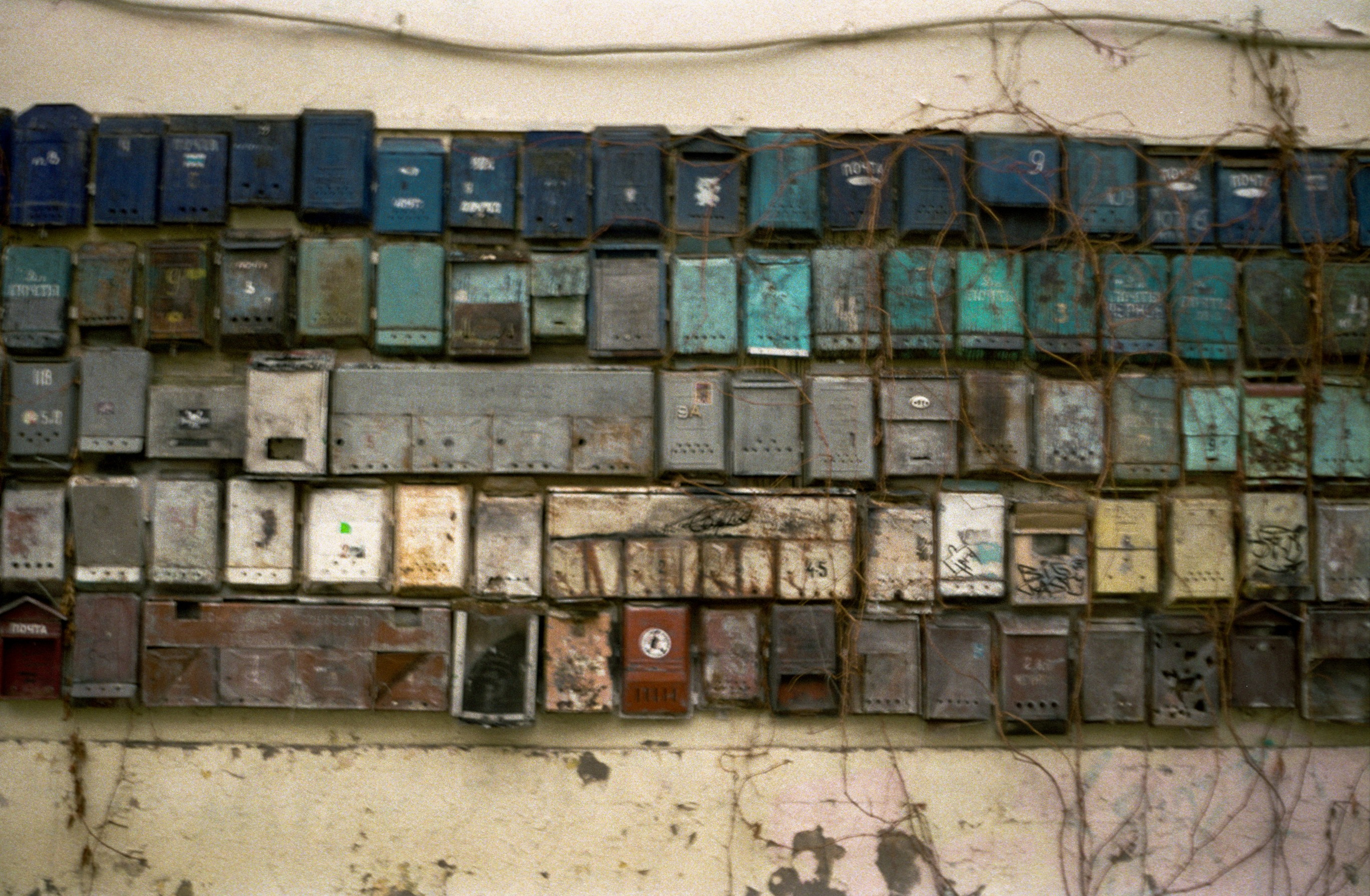 Макаров Сергей | Креативный продюсер