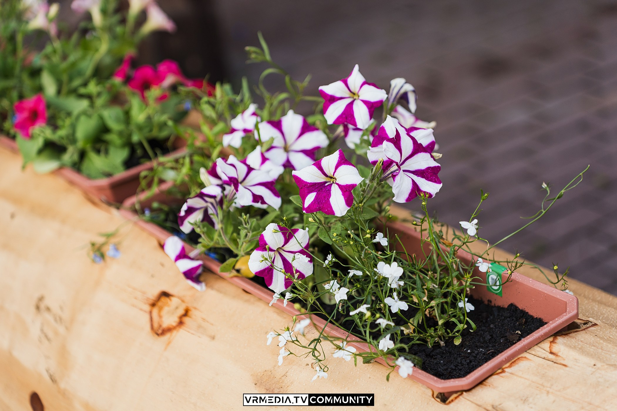 В гостях «У Петровича»