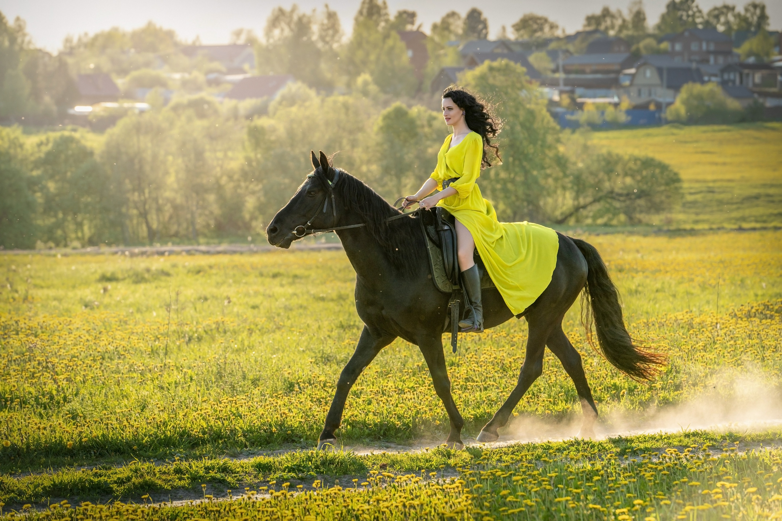 Одуванчиковое поле. Фотограф Дарья Соколовская