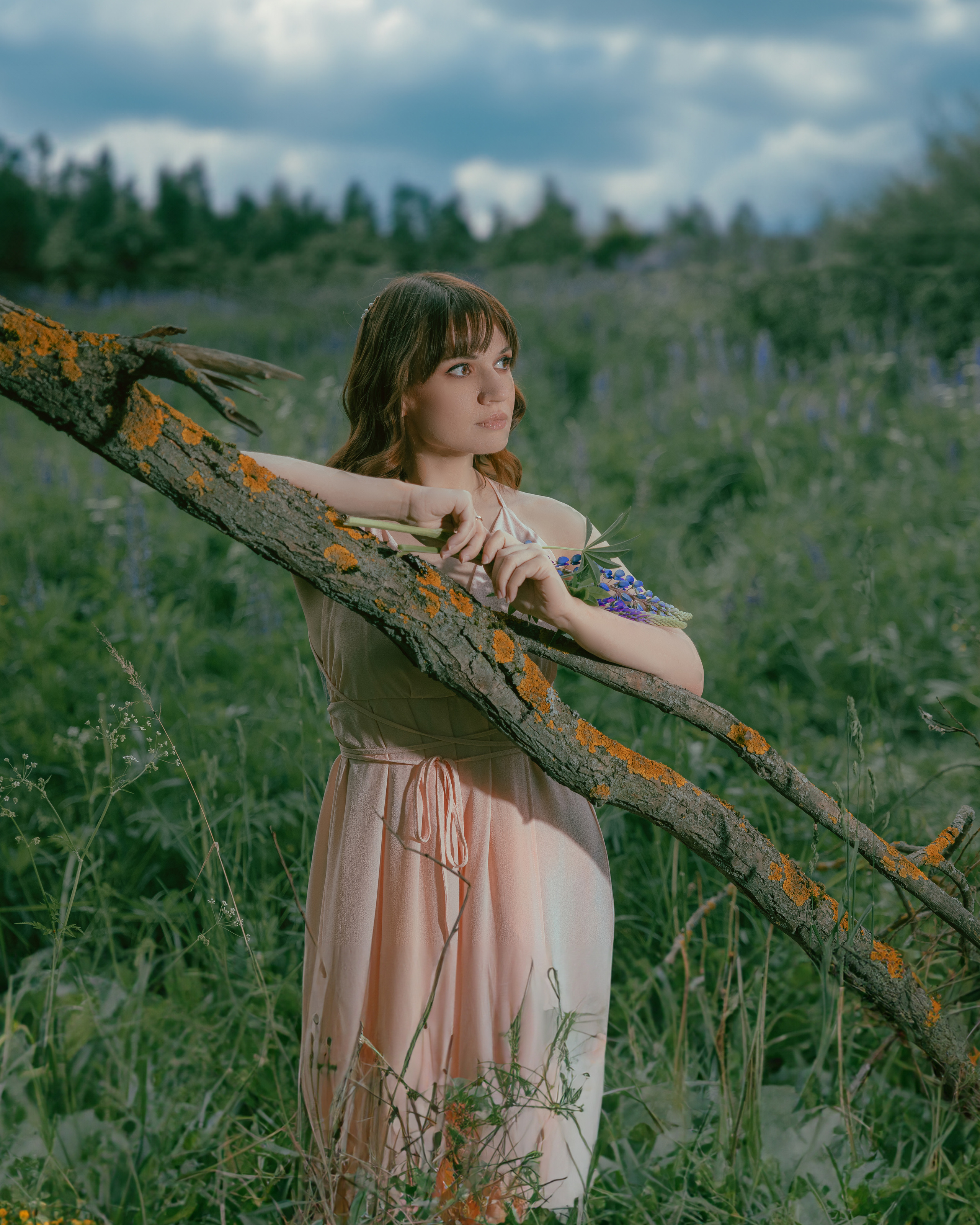 РАЗНОЕ. Shamirov Arkadiy