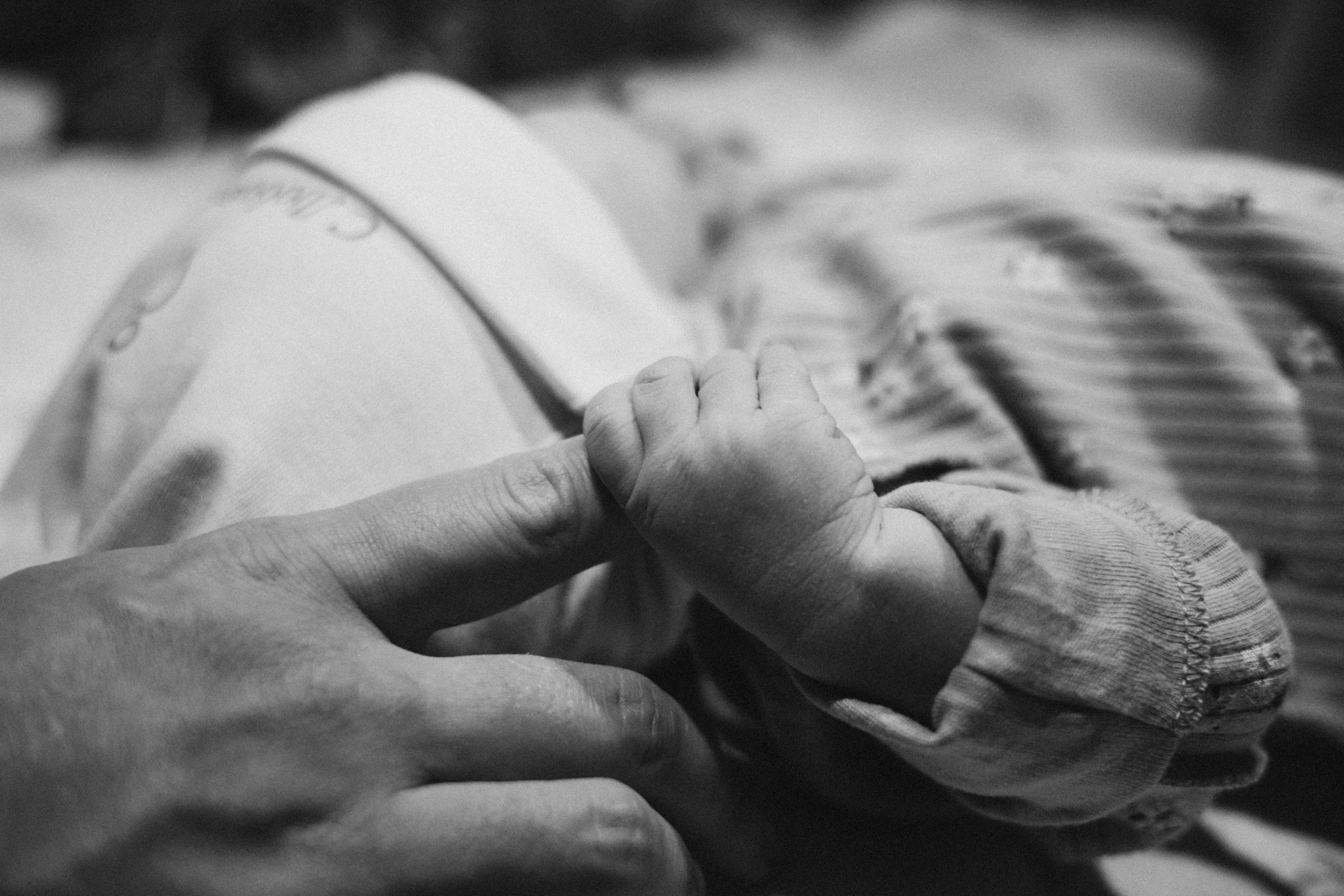 фотограф лапино