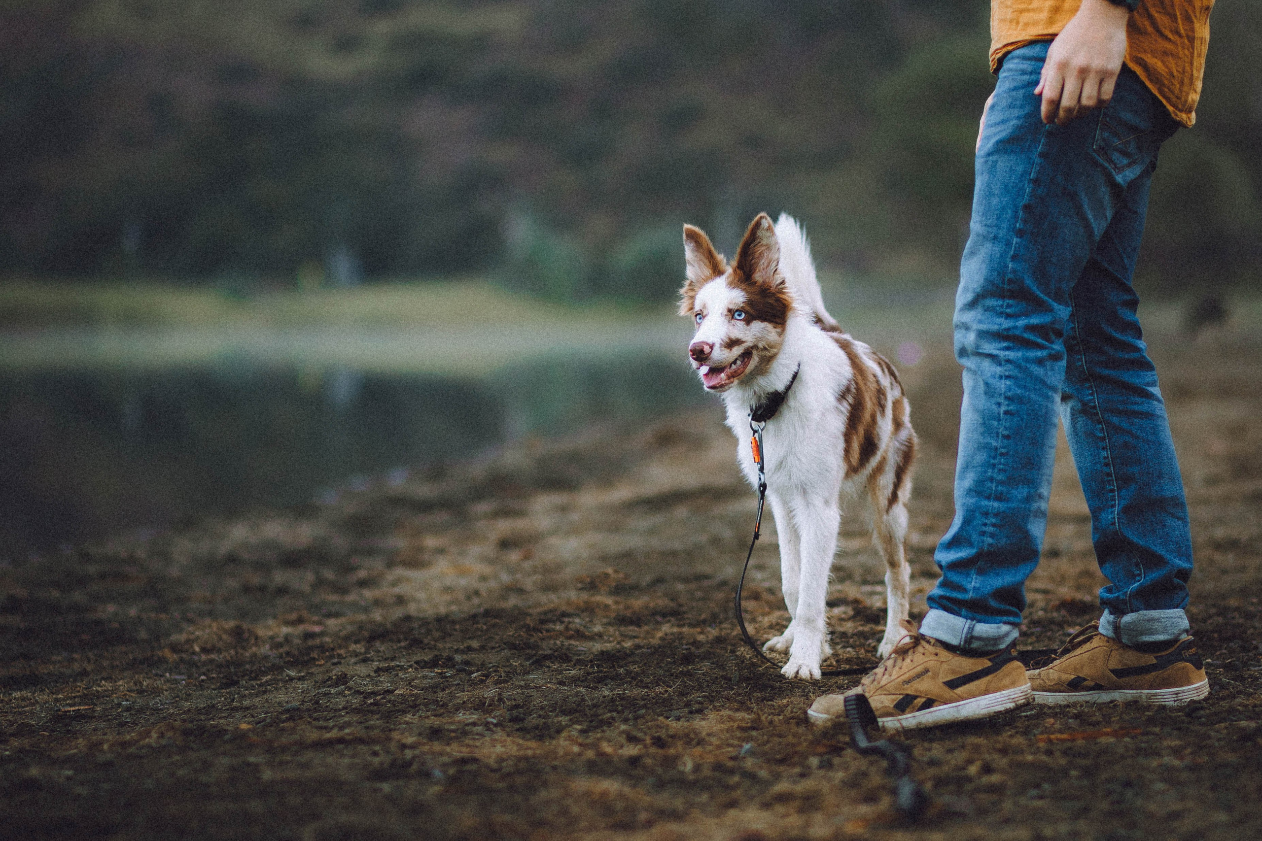 Оля, Саша и Айко