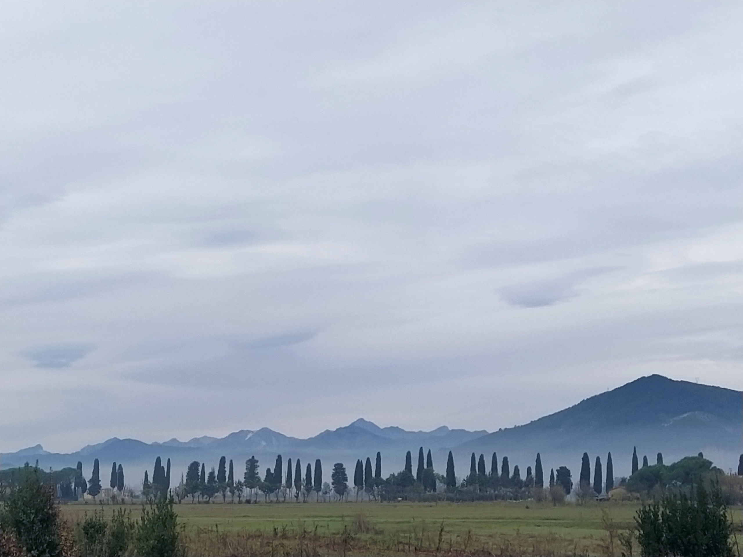 Автор: Ксения Паршина