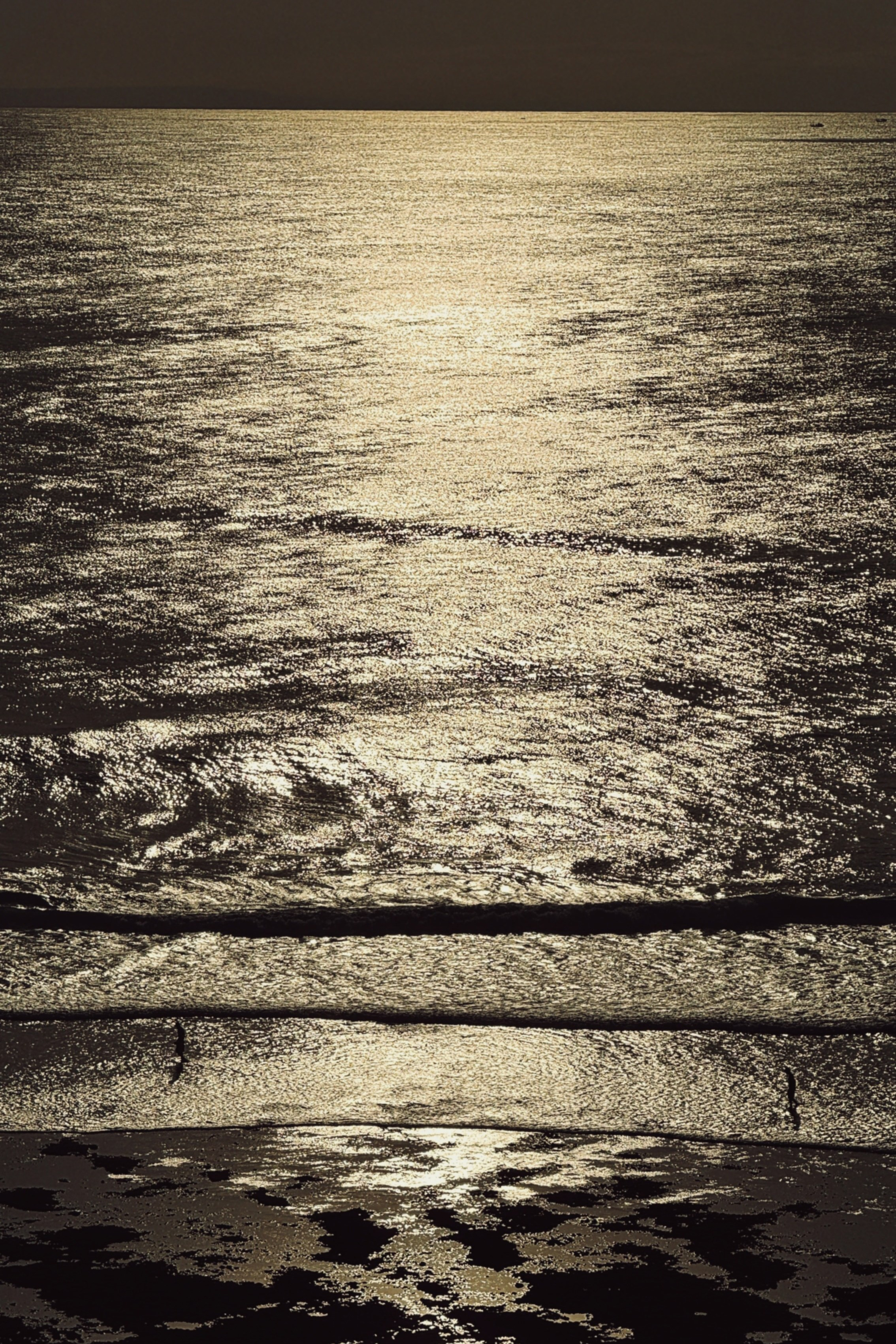 SUN. Виолетта Скрипка