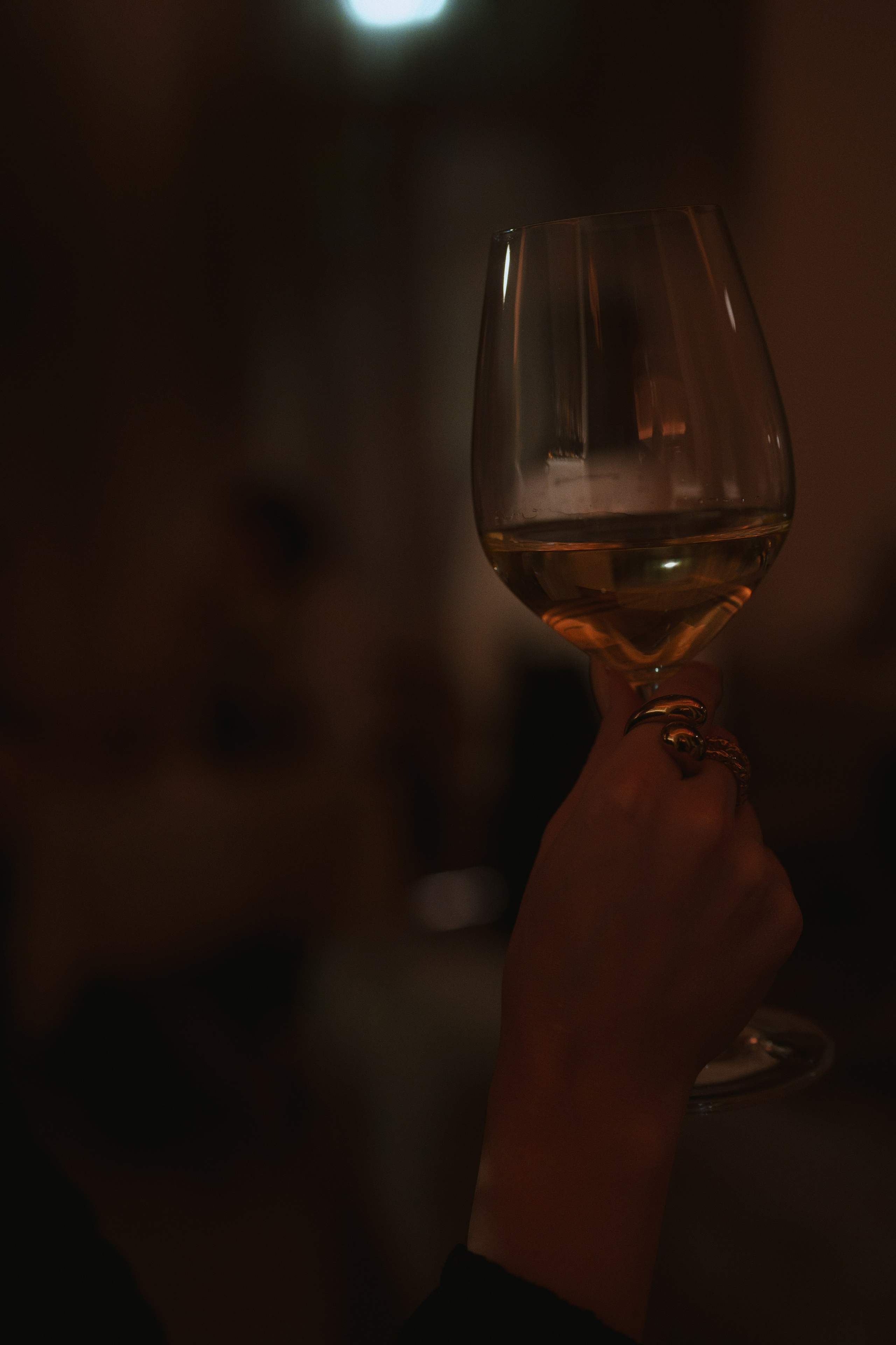 Ave bistro / opening. Фотограф Юрин Евгений