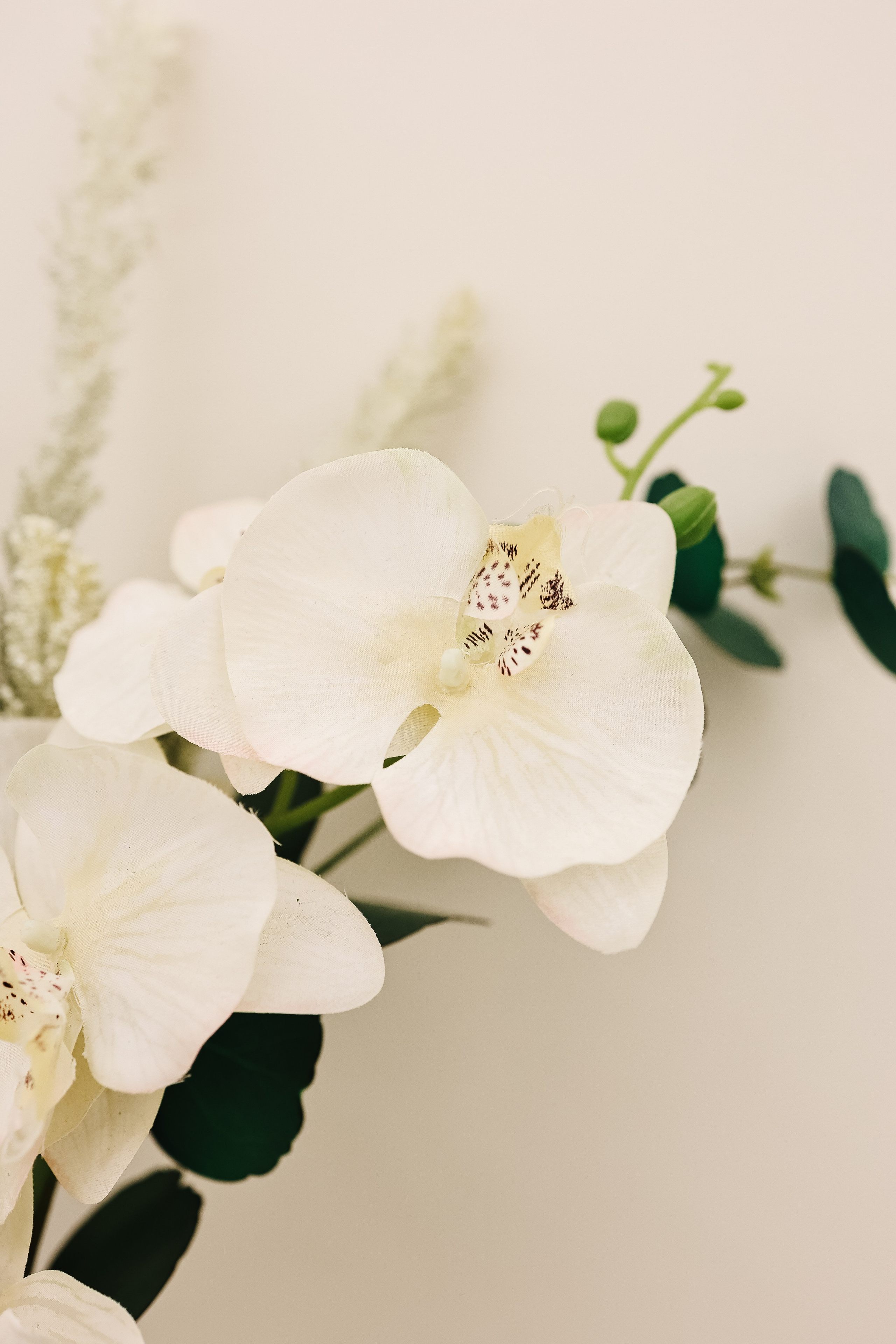 Александра и Денис. Свадебный и семейный фотограф в Воронеже Ксения Воротникова