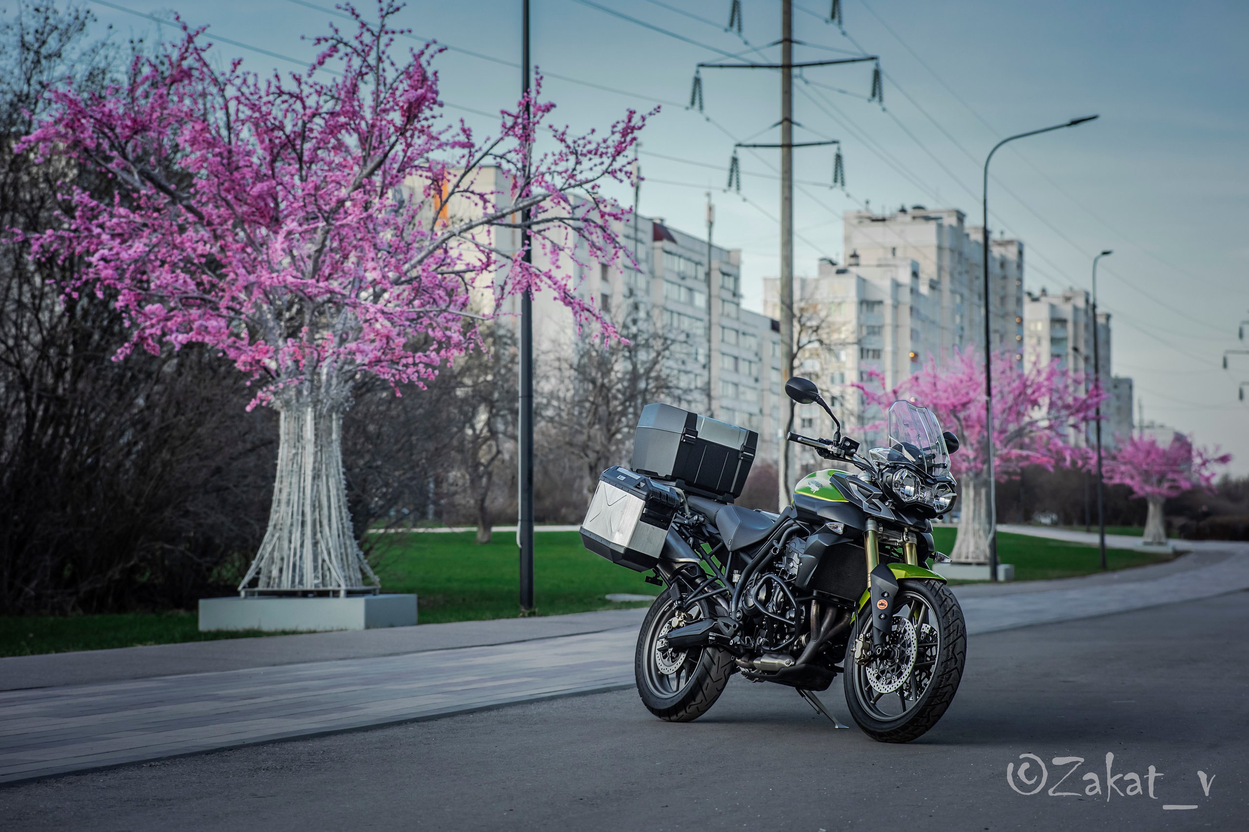 Репортажный фотограф, Москва, Закат