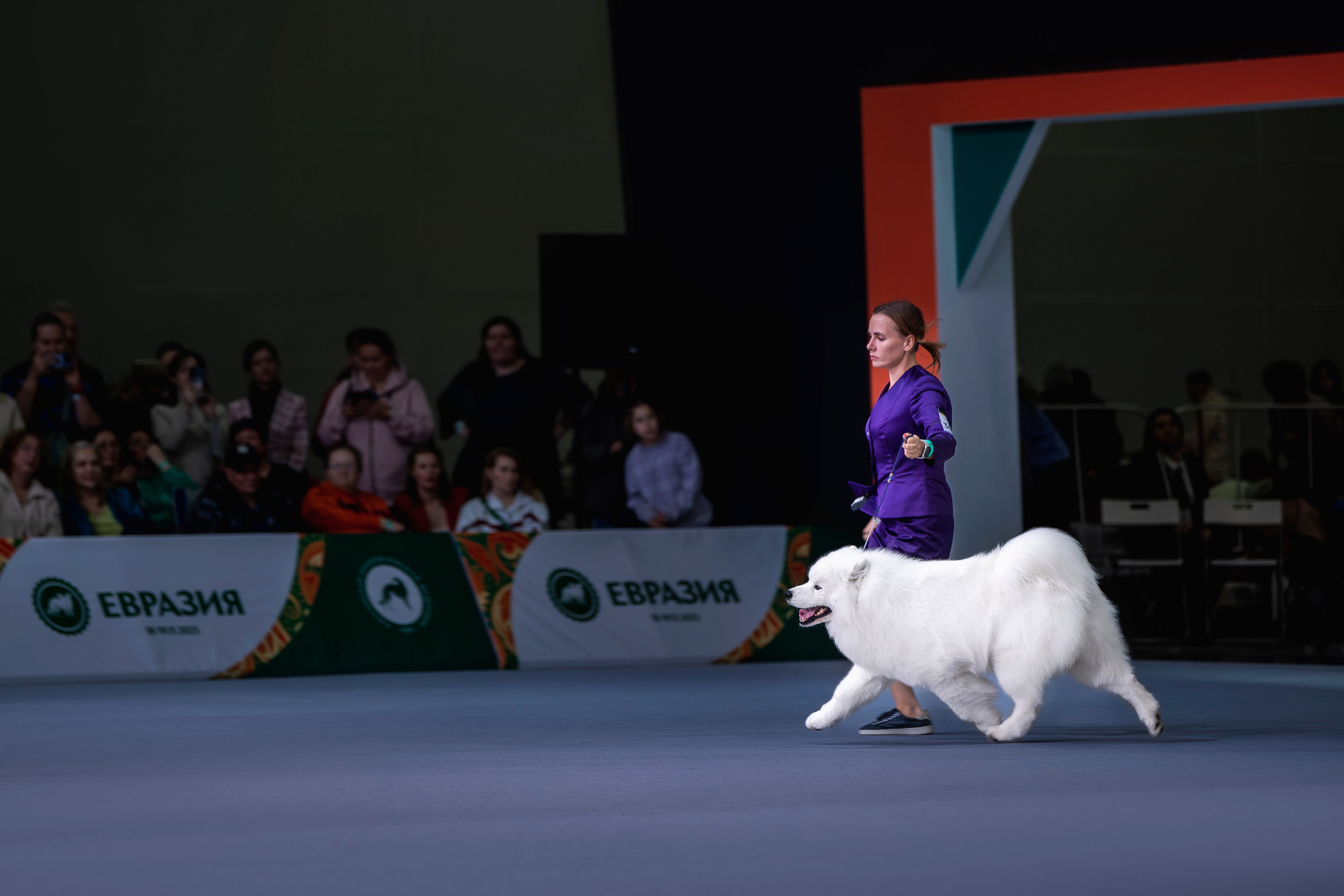 Евразия 2023. Фотограф анималист в Москве Майорова Евгения