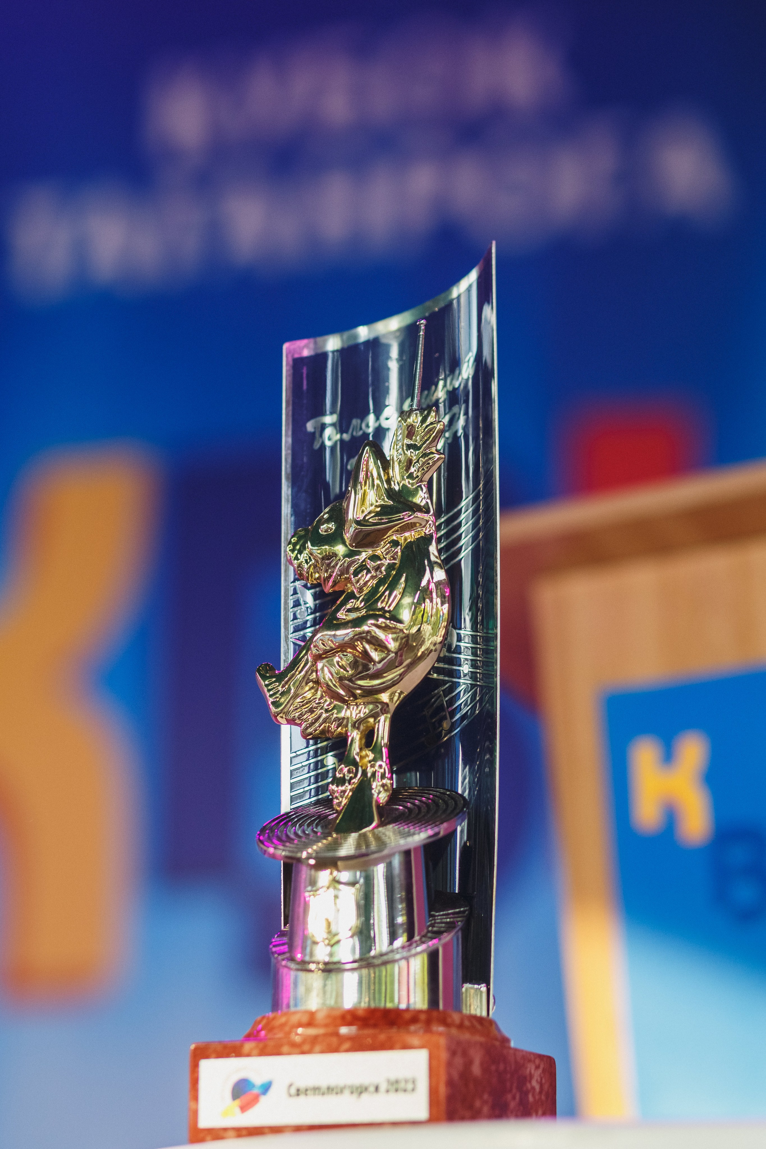 Шутки с уголка: Весёлый день с КВН в Парке Горького Таганрога. Свадебный и семейный фотограф в Таганроге Бакарюк Антон