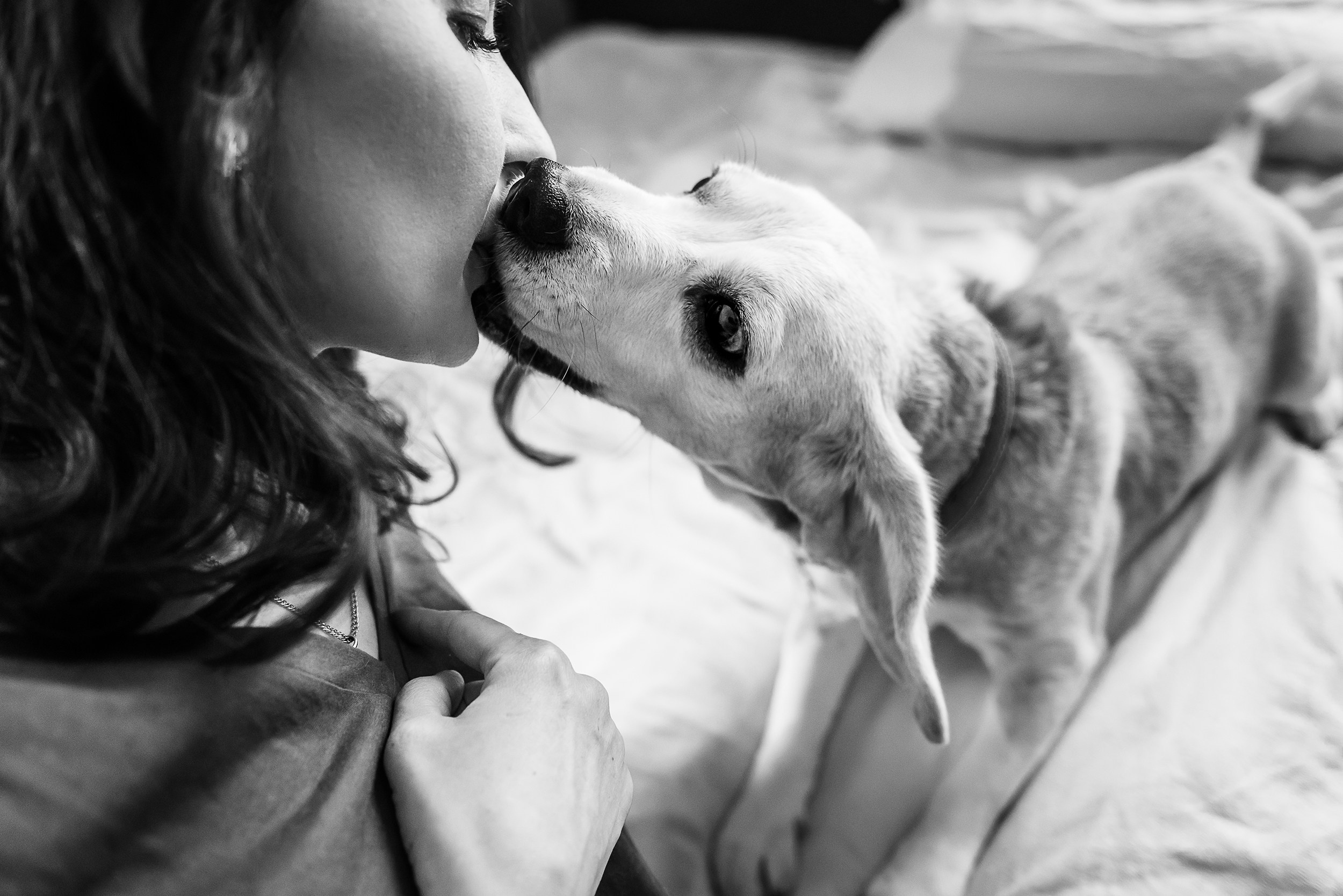 Оля, бигли и семья. Семейный Фотограф в Москве Ирина Хохлова