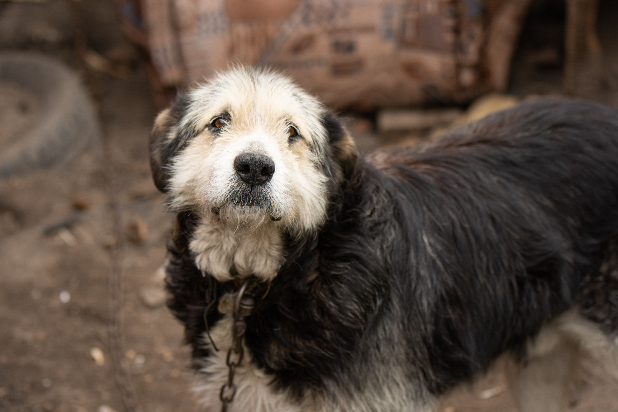 Том Сойер Фест ул. Кардовского 25 (репортаж). Портретная и репортажная съёмка
