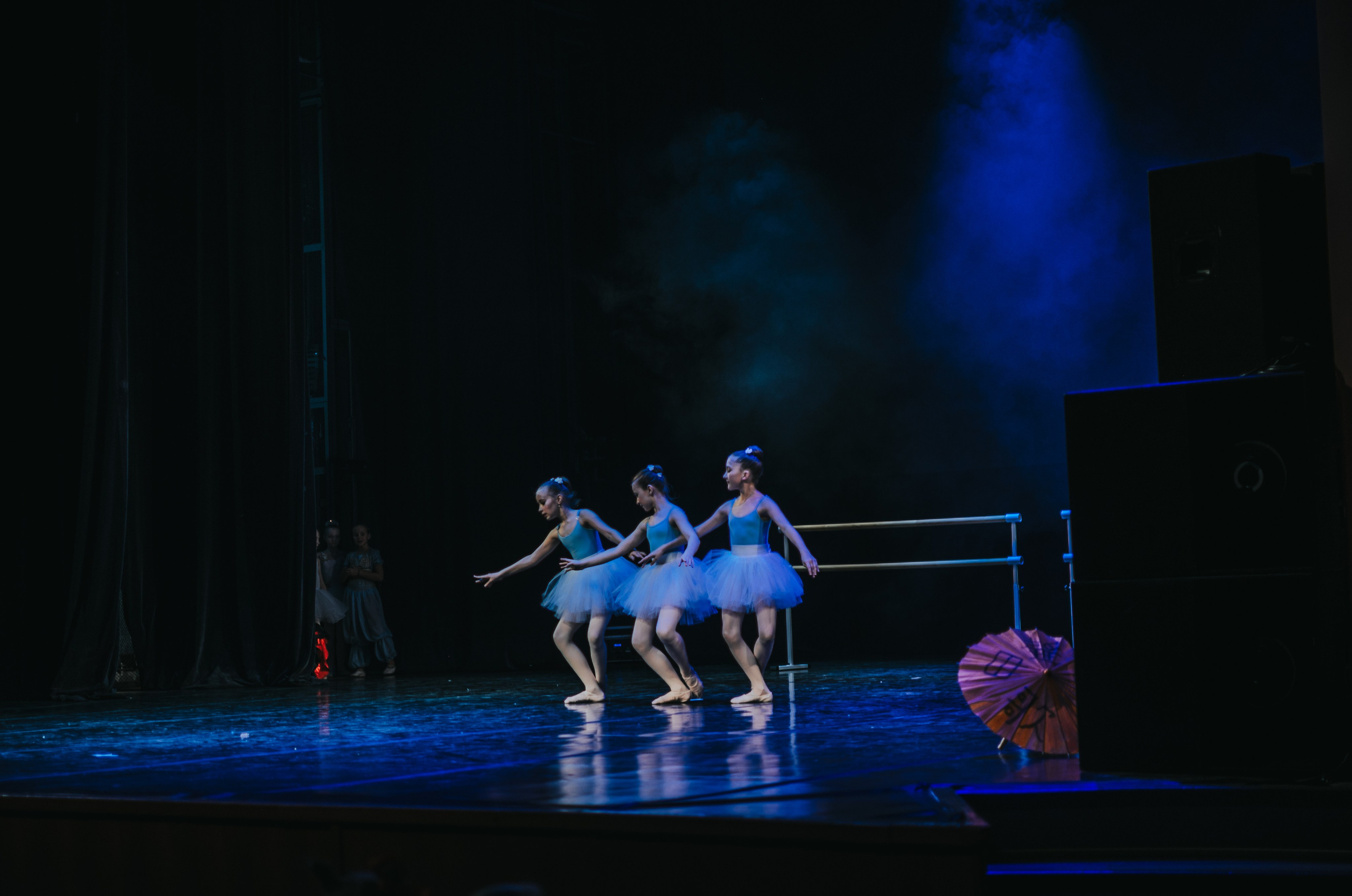 Концертный фотограф Нижний Тагил