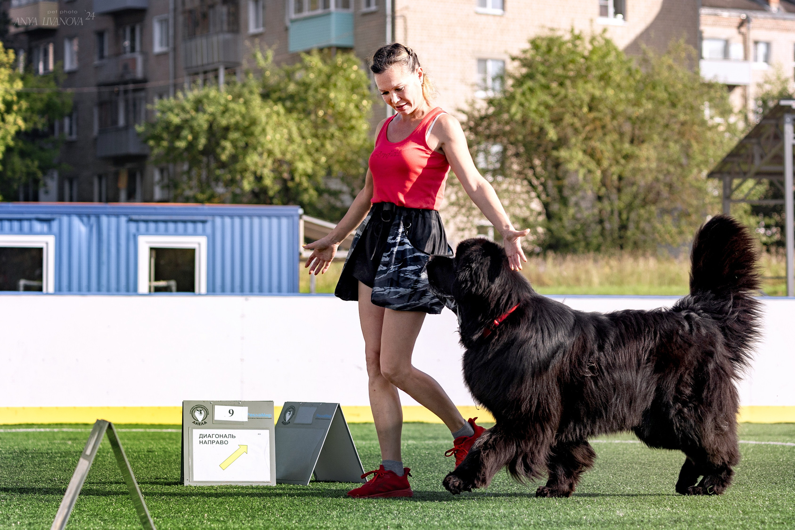 Ралли обидиенс. Фотограф анималист Аня Ливанова | Рыбинск