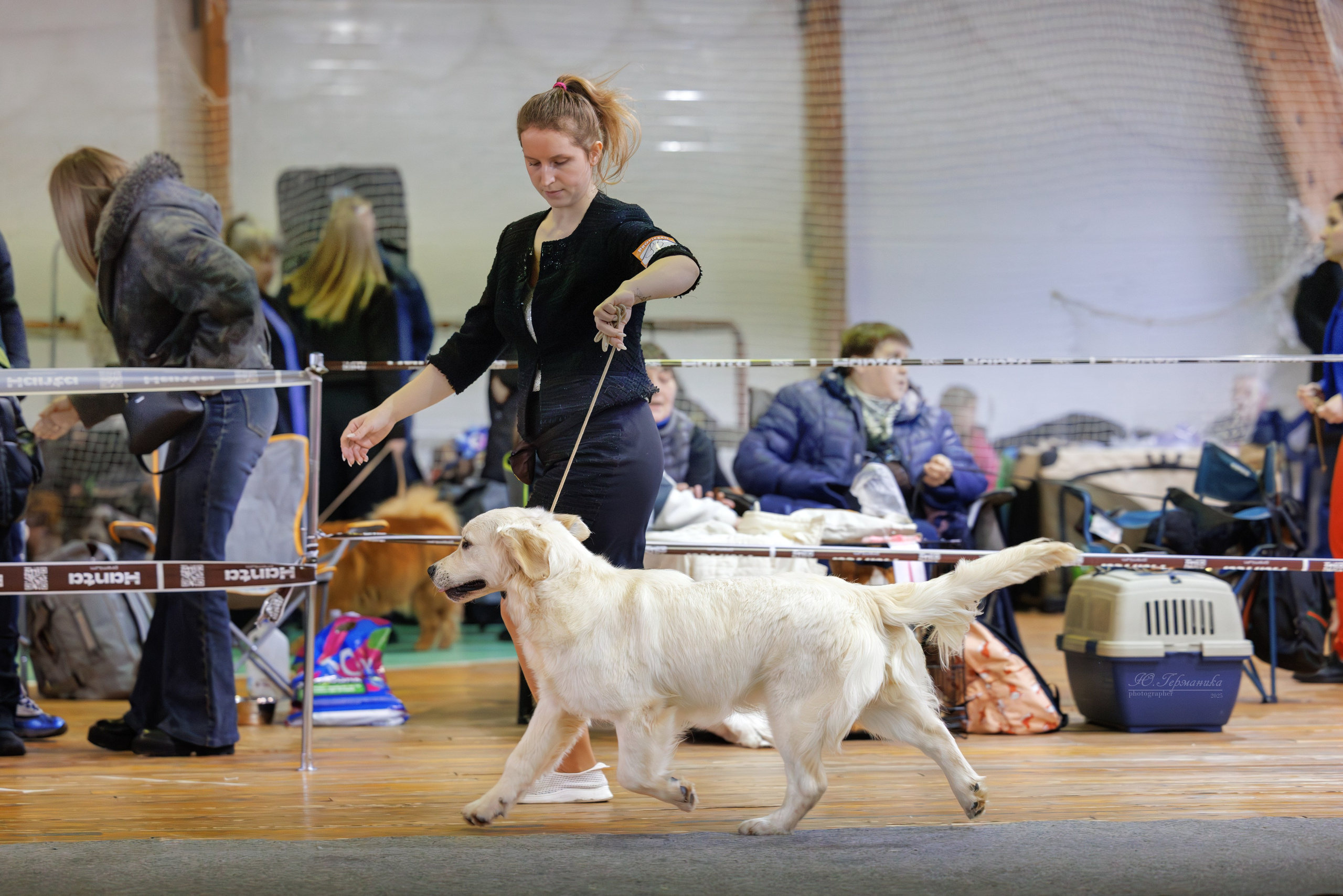 Тверь 21.12.2025. Фотограф-анималист Юлия Германика