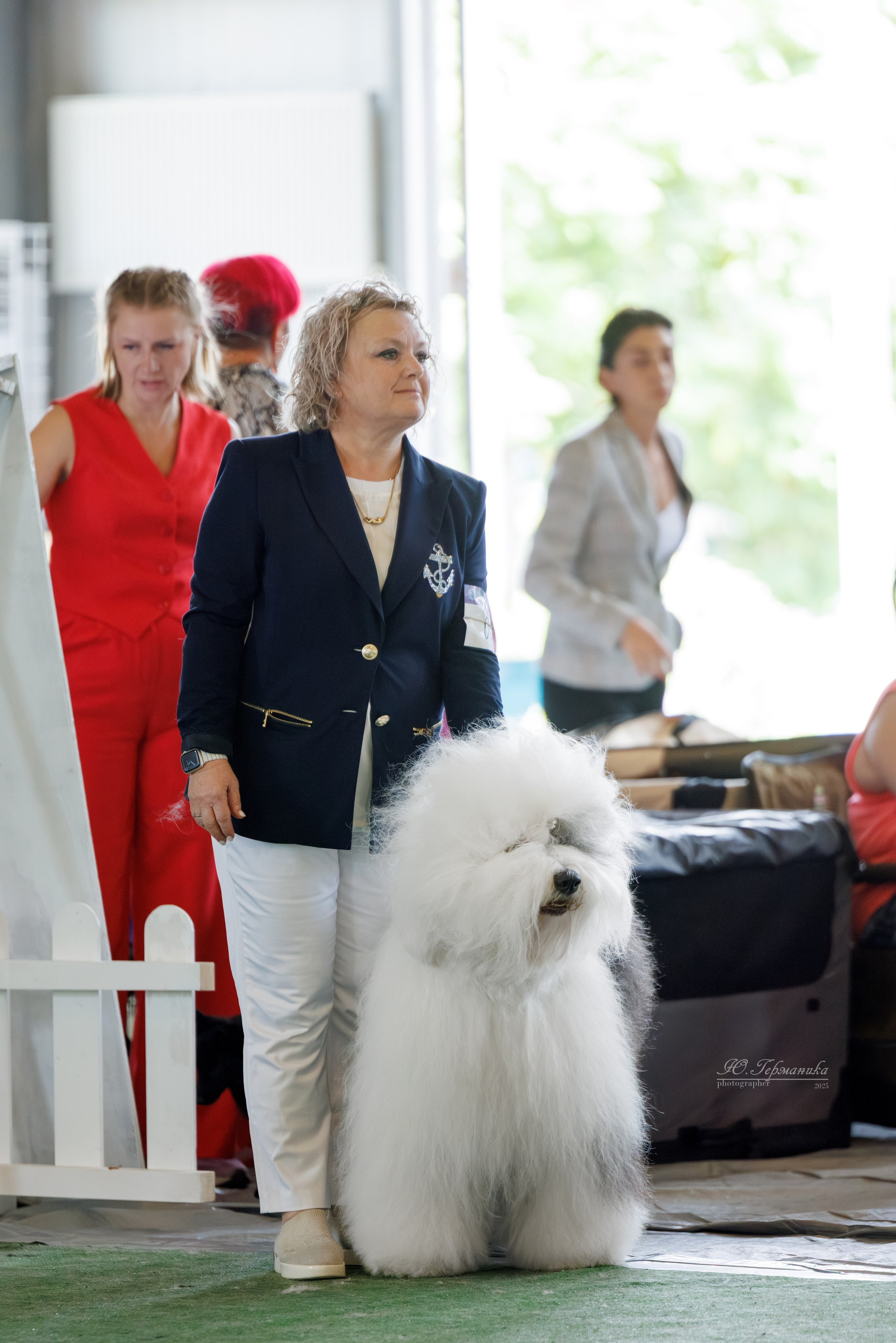 Батуми 3хCACIB 27-29.06.2025. Фотограф-анималист Юлия Германика