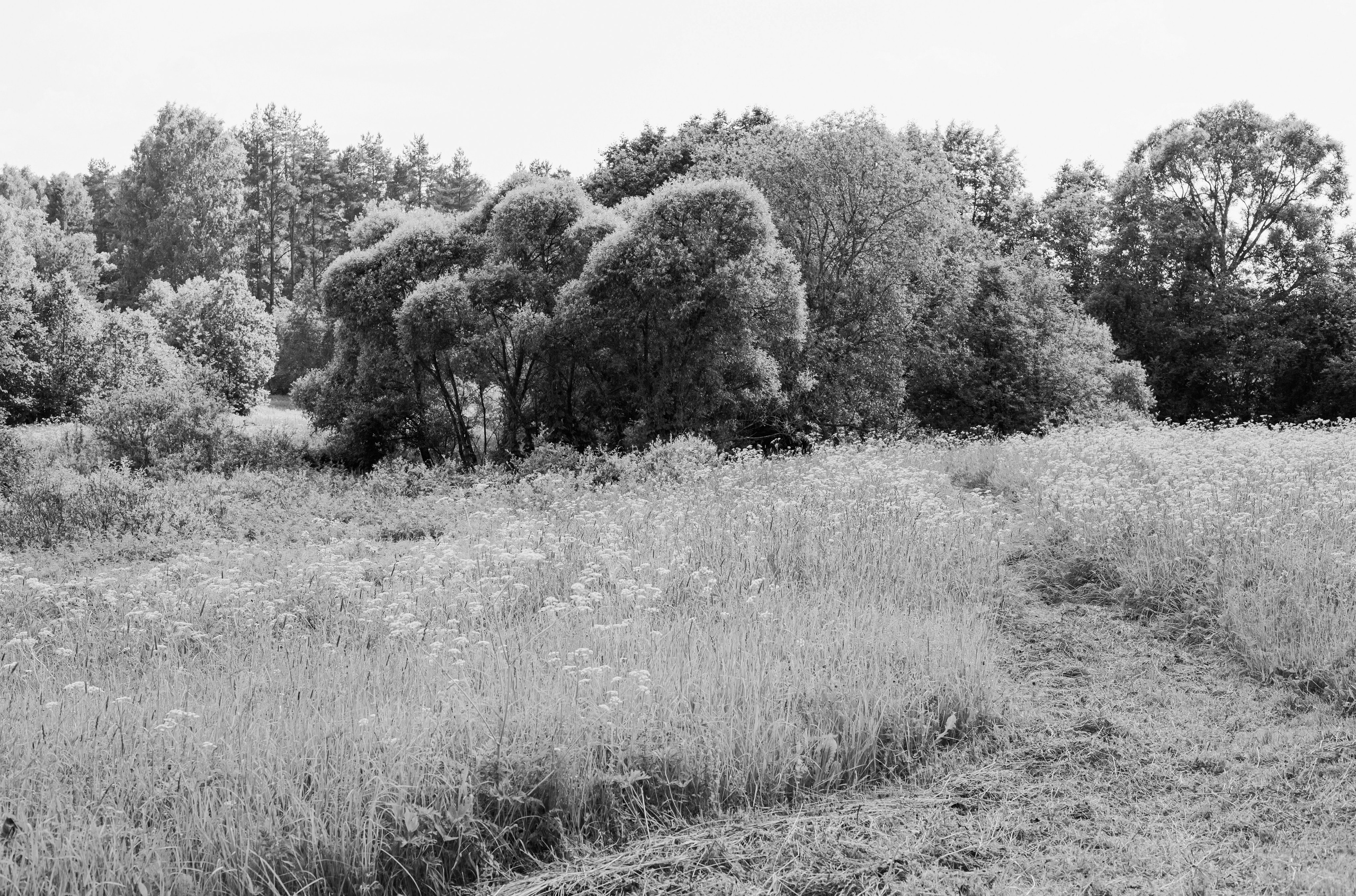Кимрские исторические тракты: Ильинское кольцо 2026. Профессиональный фотограф, фотохудожник, видеограф из Москвы