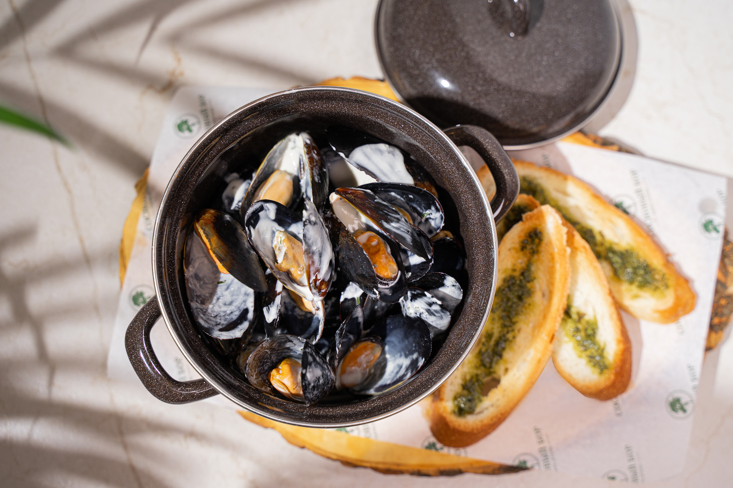 Сосновый бор. Свадебный и семейный фотограф в Санкт-Петербурге