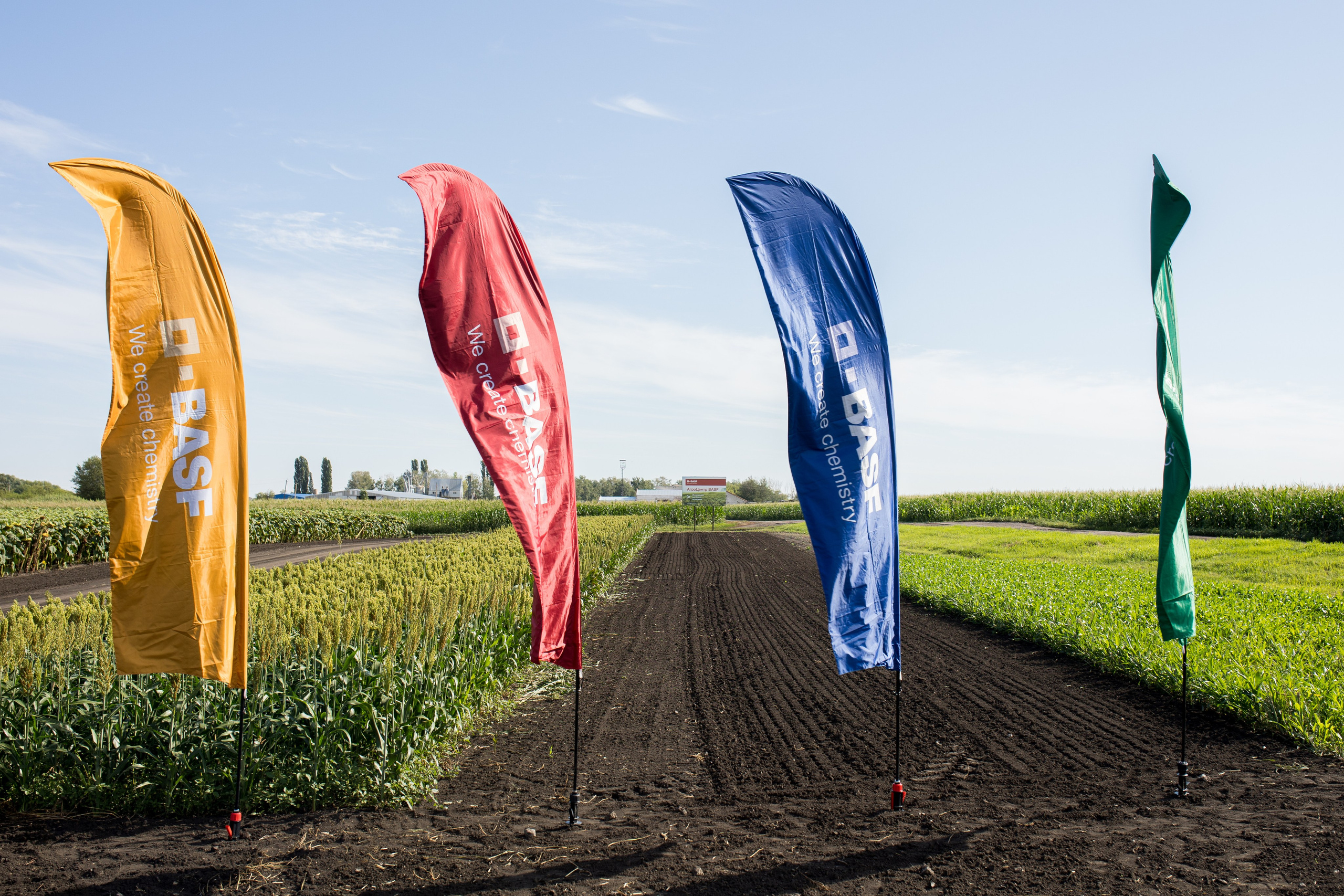 Решения для сельского хозяйства BASF 16.08.2022. Владислав Волков | Фотография и видеосъемка в Воронеже
