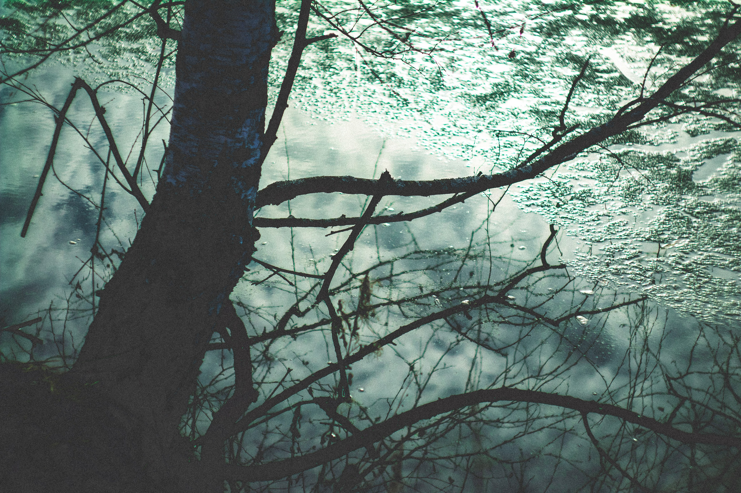 Kingdom. Den Mirov — Photographer, Musician