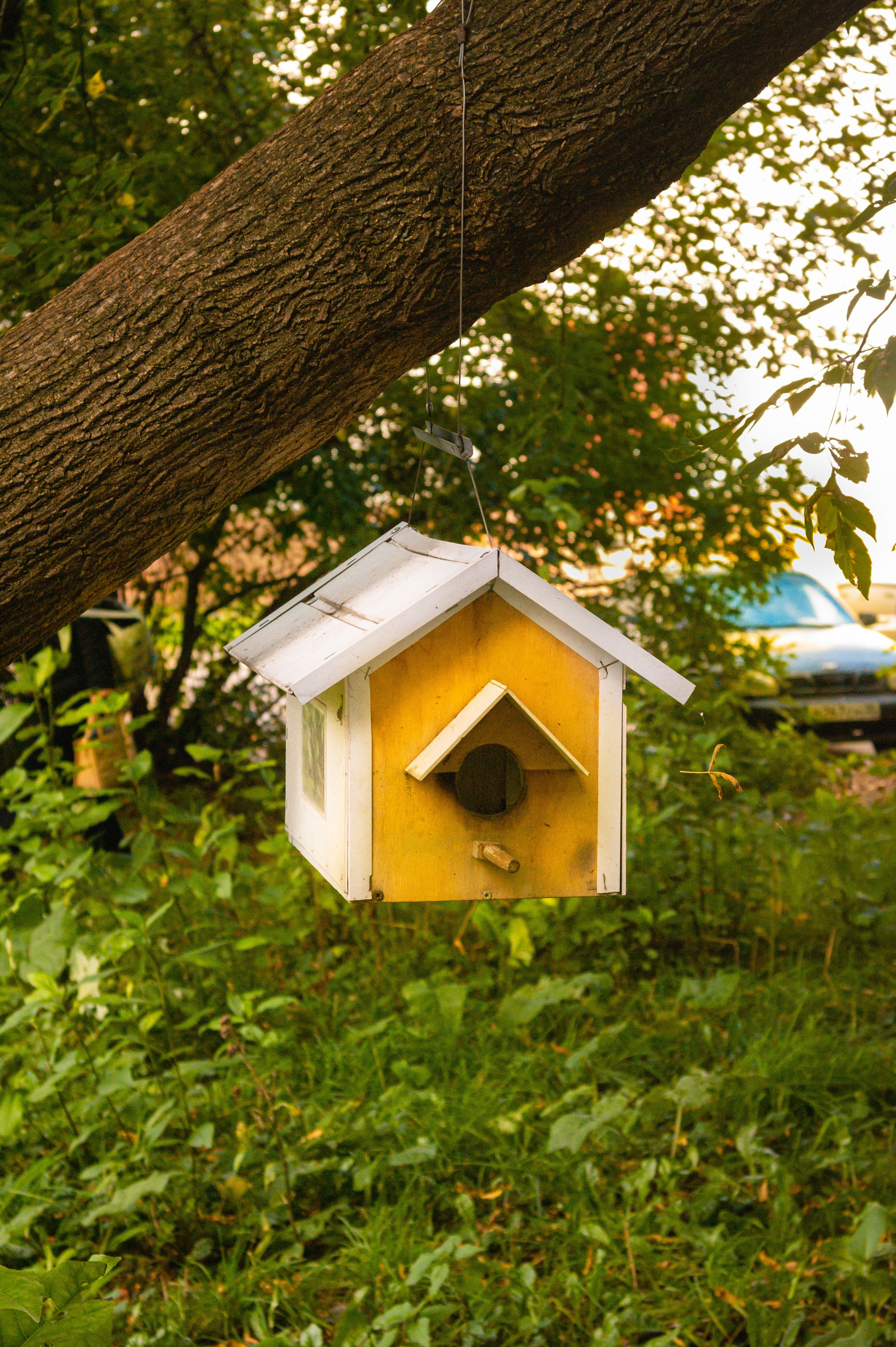 Сентябрь 2025. Den Mirov — Фотограф, Музыкант