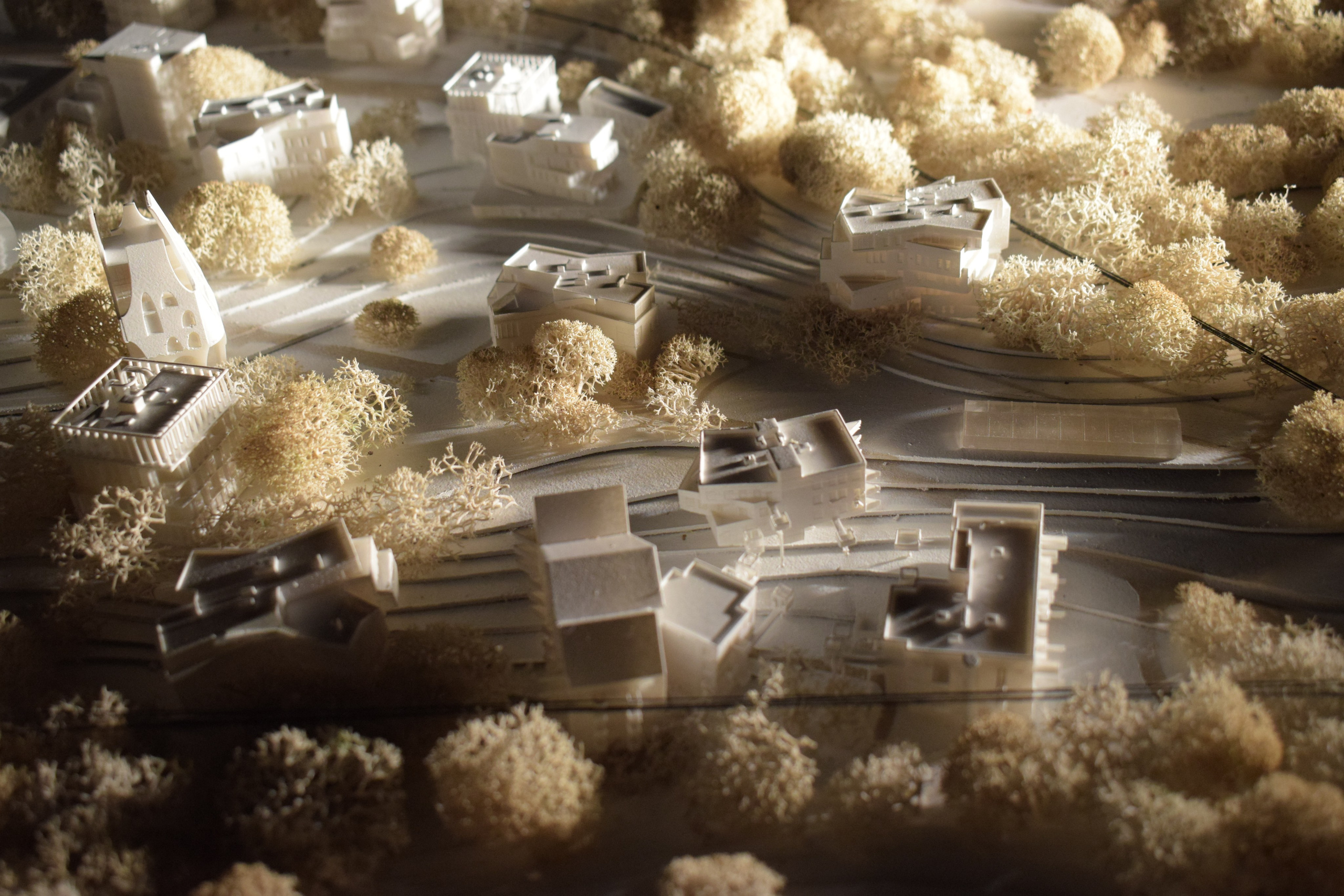 Курсовой макет поселка для студентов МАРХИ часть3. 3D печать