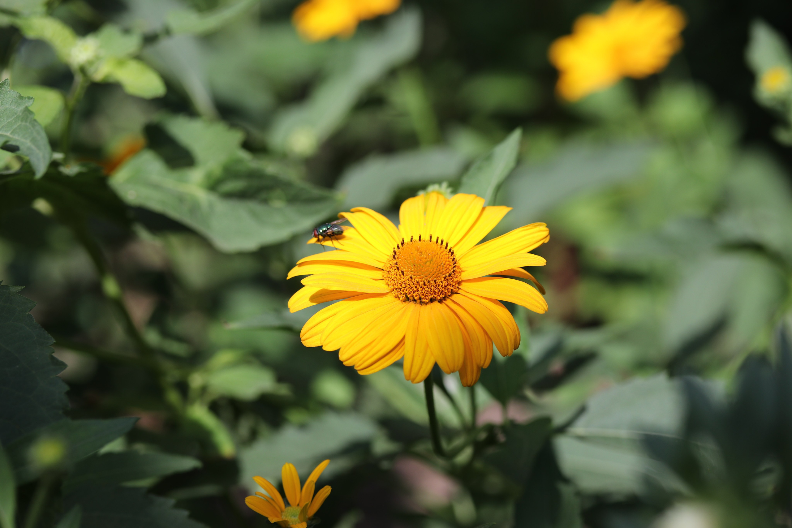 МАГАЗИН и его витрина. Фото-художник и Репортажный фотограф Николаев Александр Алексеевич