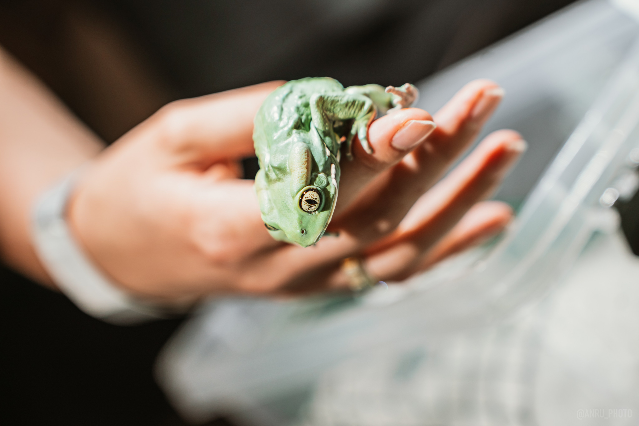 Рептилиум. Репортажный фотограф Анастасия Рубцова