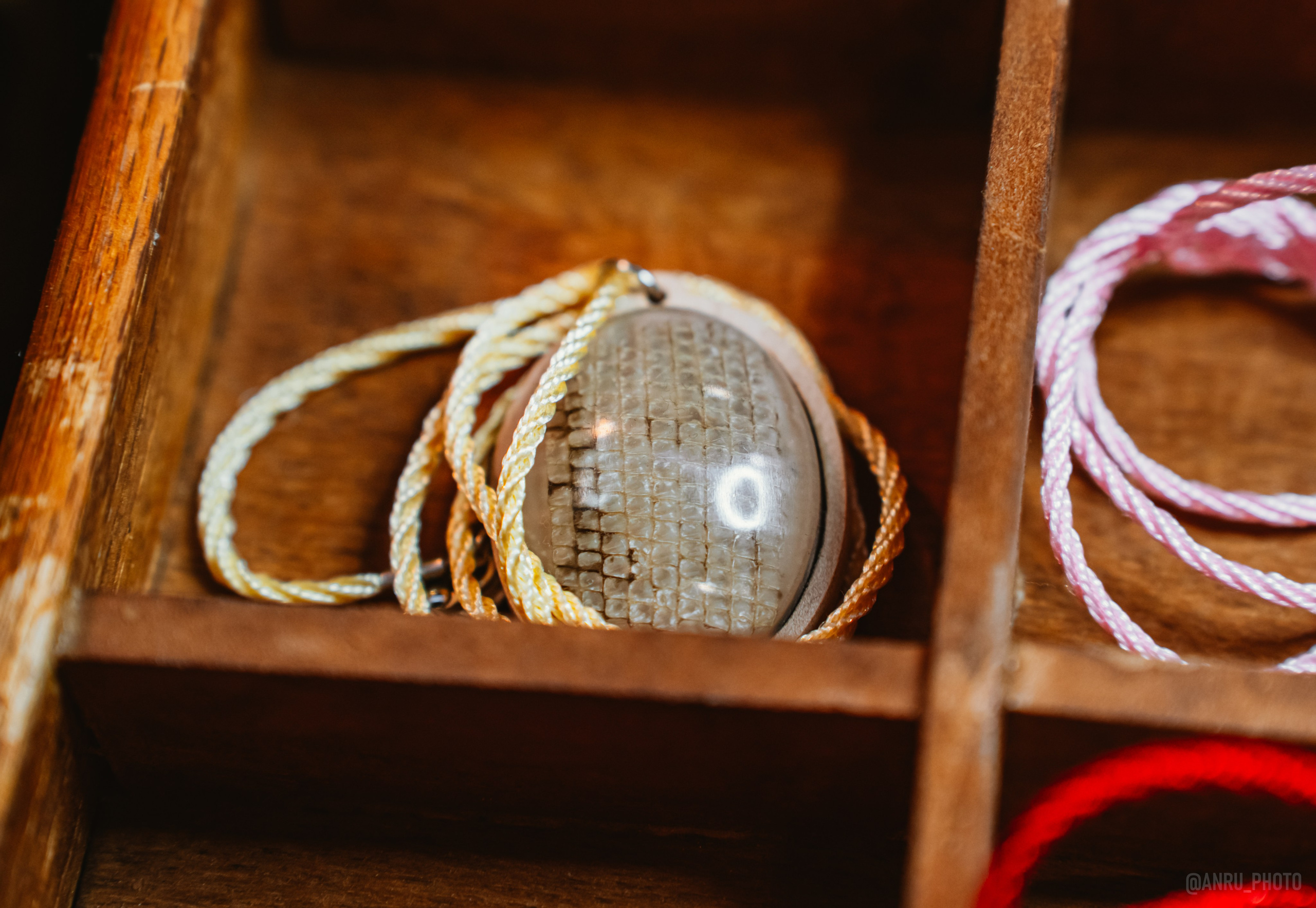 Рептилиум (ручная работа). Репортажный фотограф Анастасия Рубцова