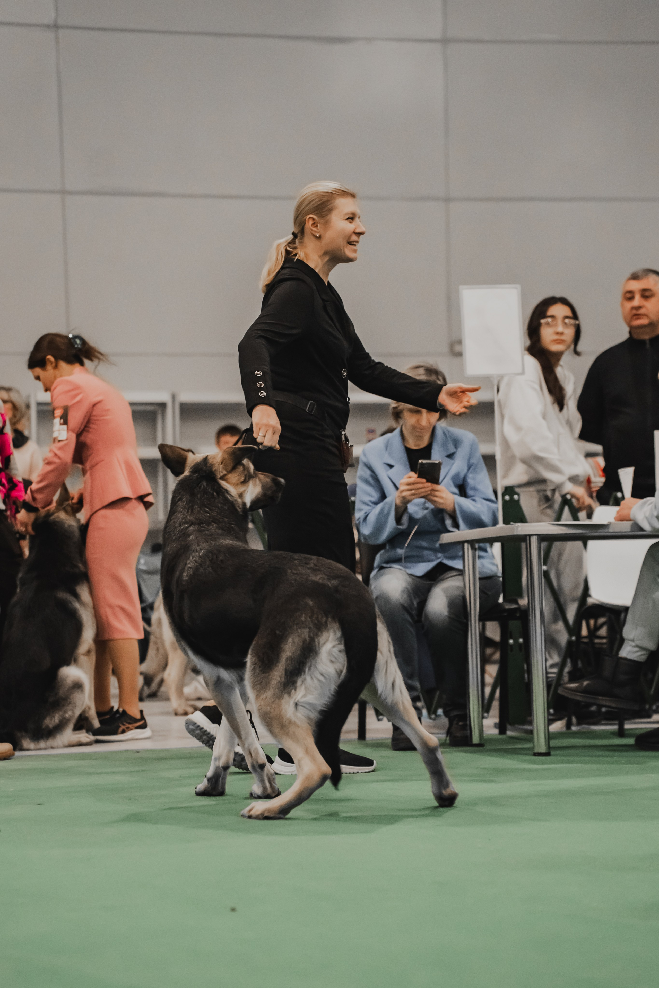 Международная выставка собак всех пород. Репортажный фотограф Анастасия Рубцова