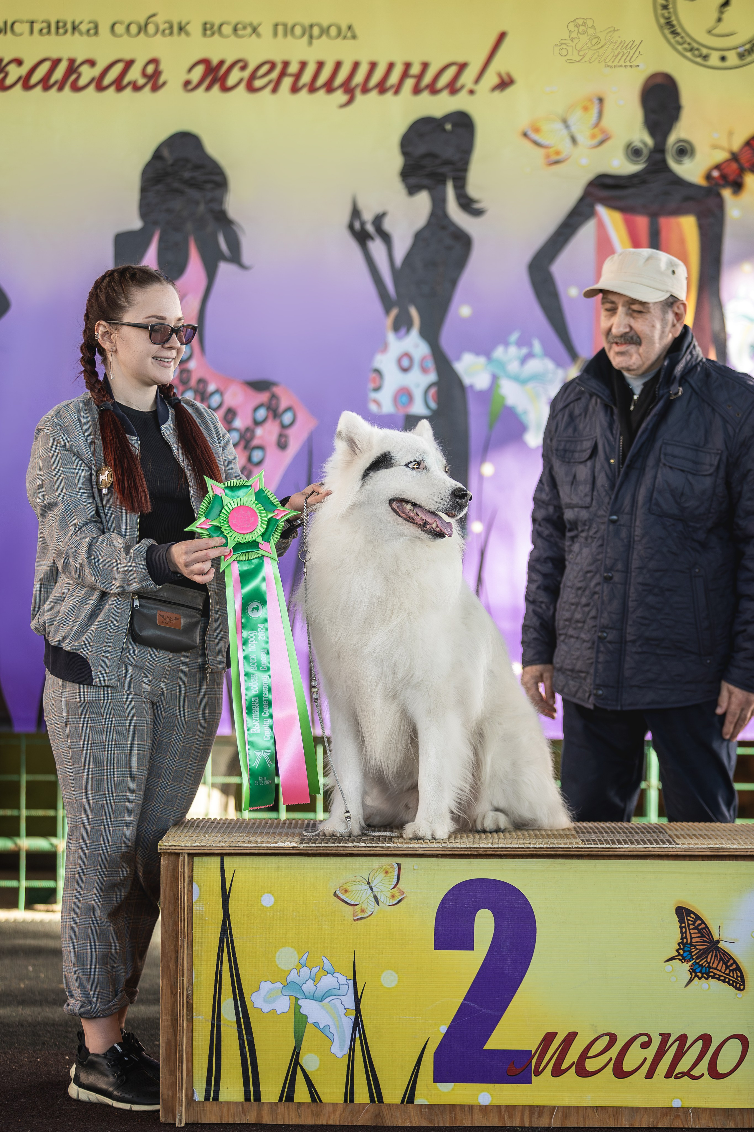 Выставка 25.02.2024. Ирина Голомб|Фотограф-анималист в  Сочи и Калининграде